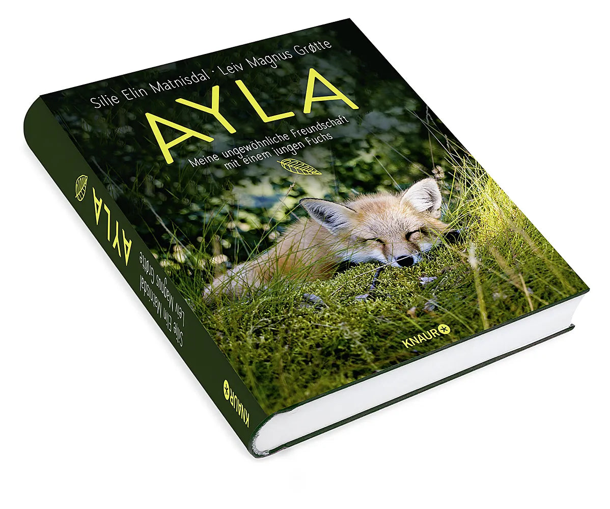 Produktansicht: Ayla - meine ungewöhnliche Freundschaft mit einem jungen Fuchs (Gebundene Ausgabe)