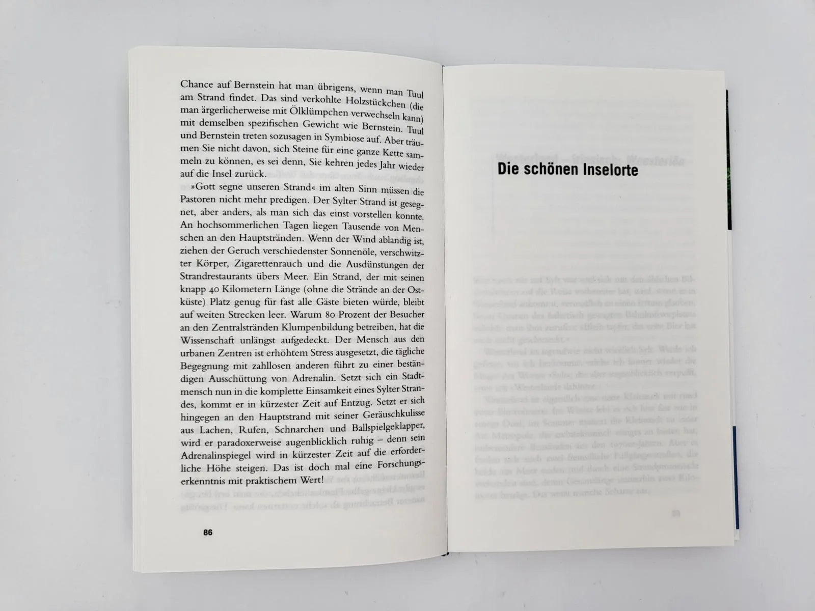 Produktansicht: Gebrauchsanweisung für Sylt (Taschenbuch)