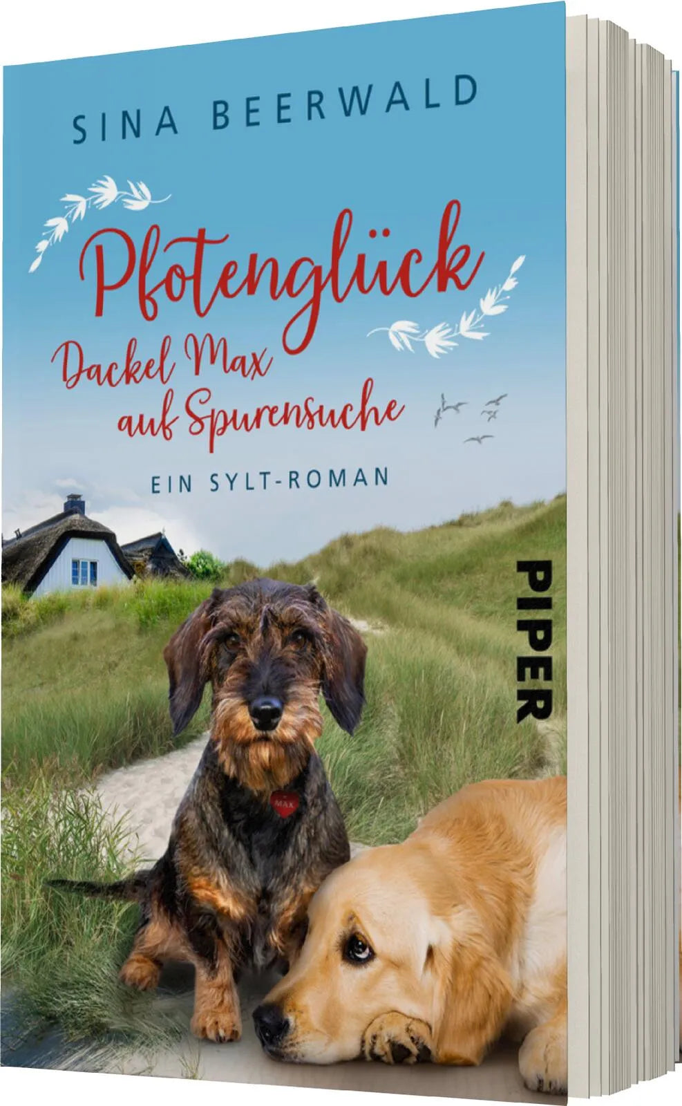Produktansicht: Pfotenglück – Dackel Max auf Spurensuche (Taschenbuch)