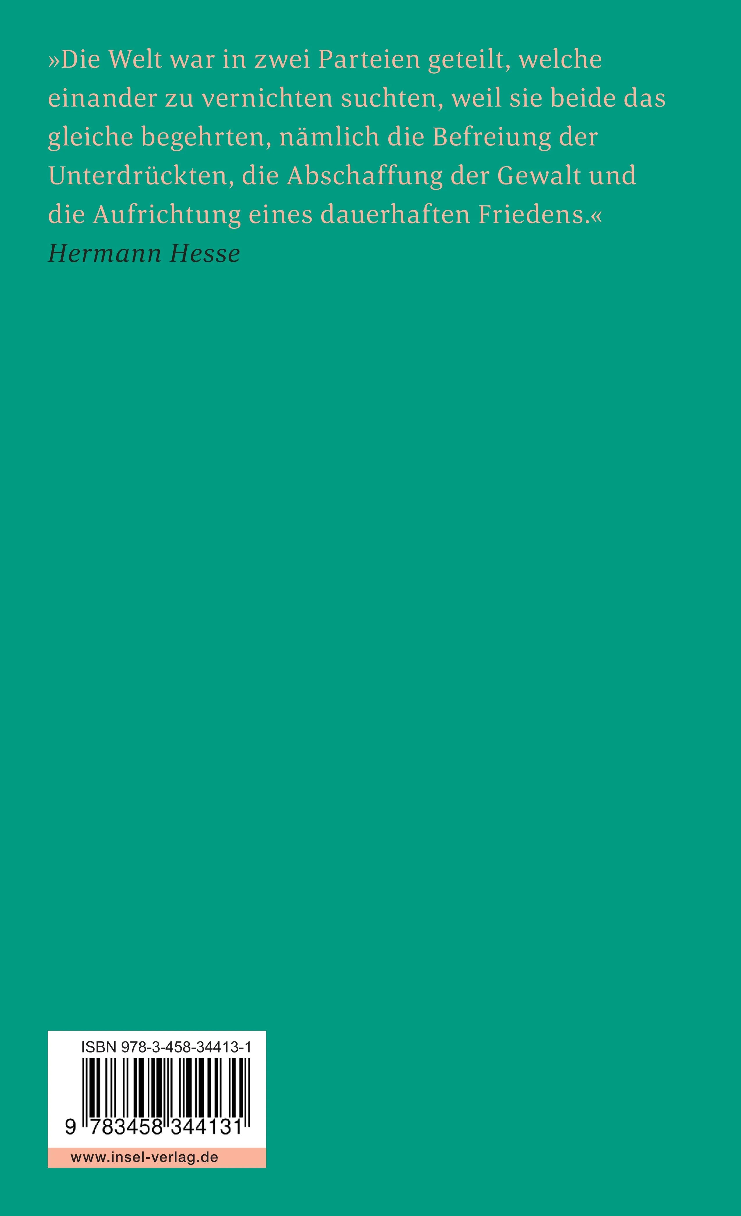 Buchrückseite von 'Sinclairs Notizbuch' mit Klappentext - Taschenbuch
