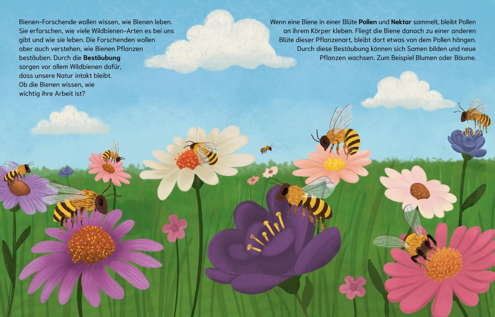 Eliza Jeffrey - Sind Bienen kleine Superhelden?
