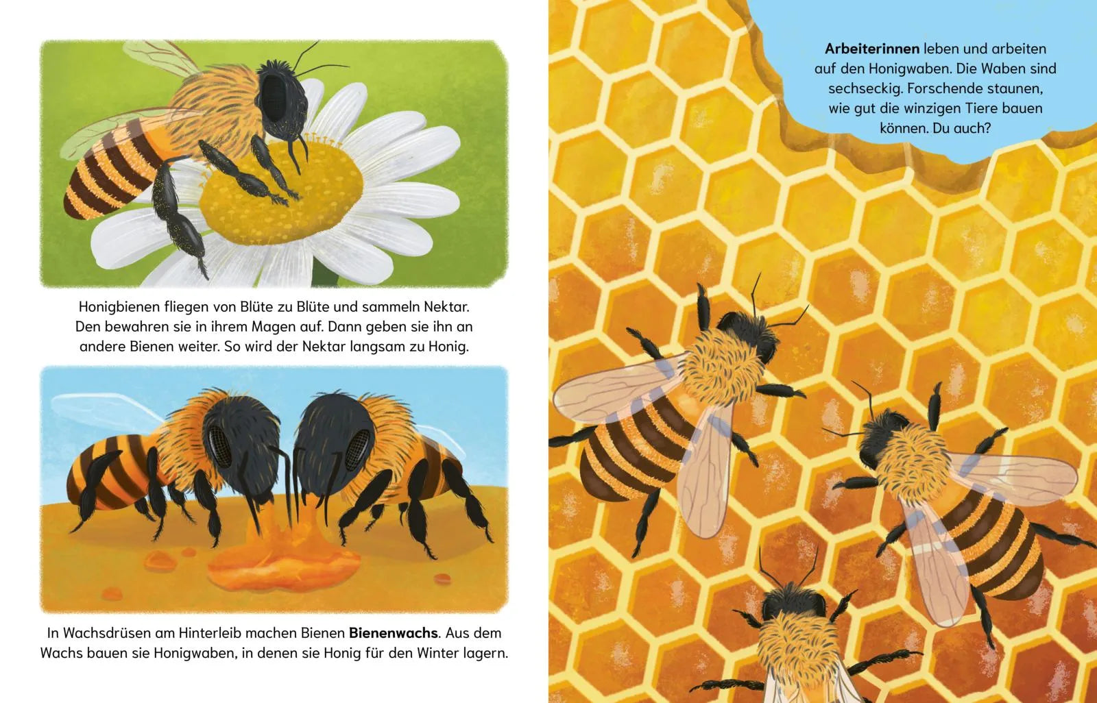 Produktansicht: Sind Bienen kleine Superhelden? (Gebundene Ausgabe)