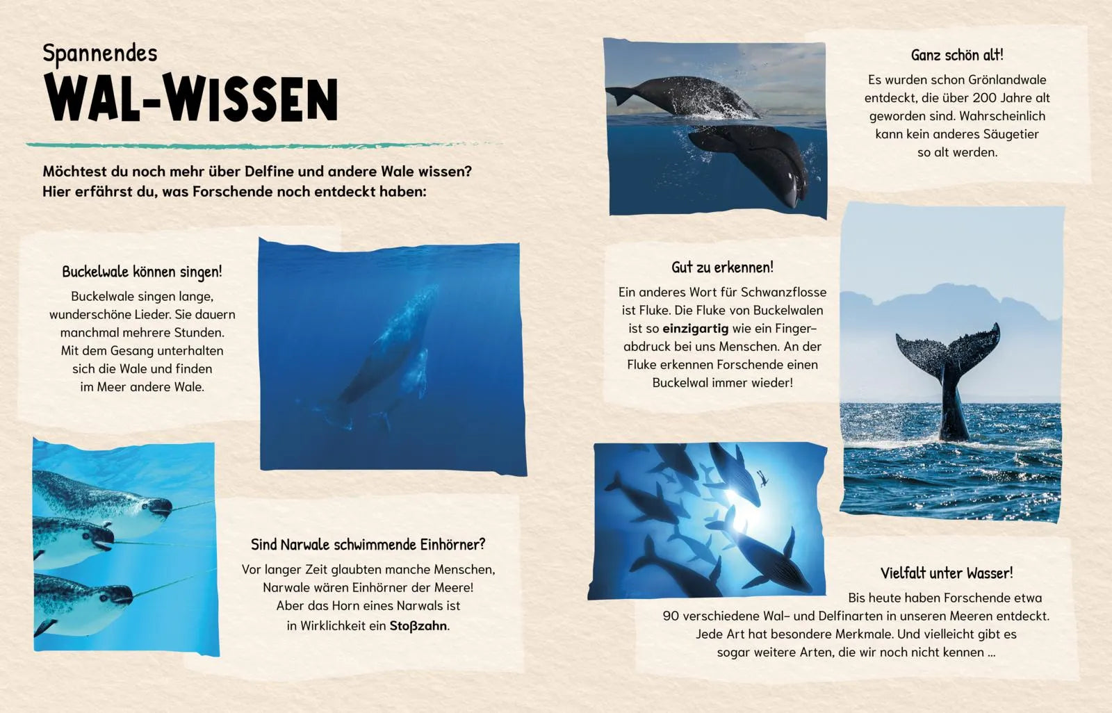 Produktansicht: Sind Wale klüger als Menschen? (Gebundene Ausgabe)