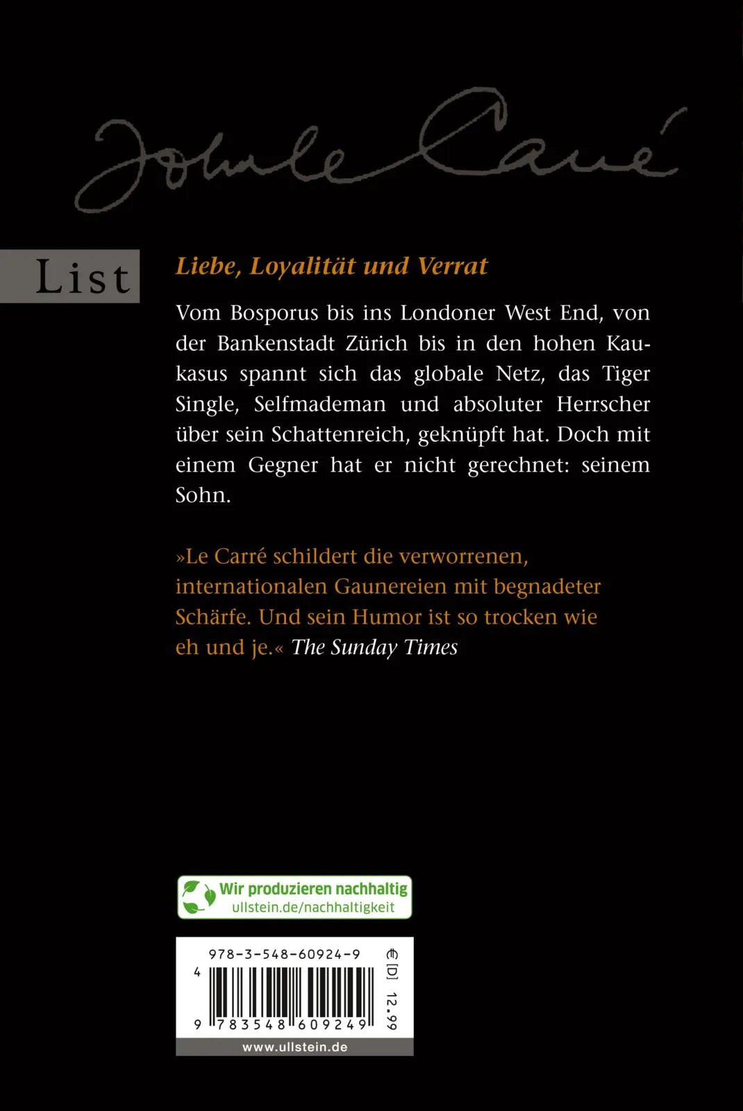 Buchrückseite von 'Single & Single' mit Klappentext - Taschenbuch