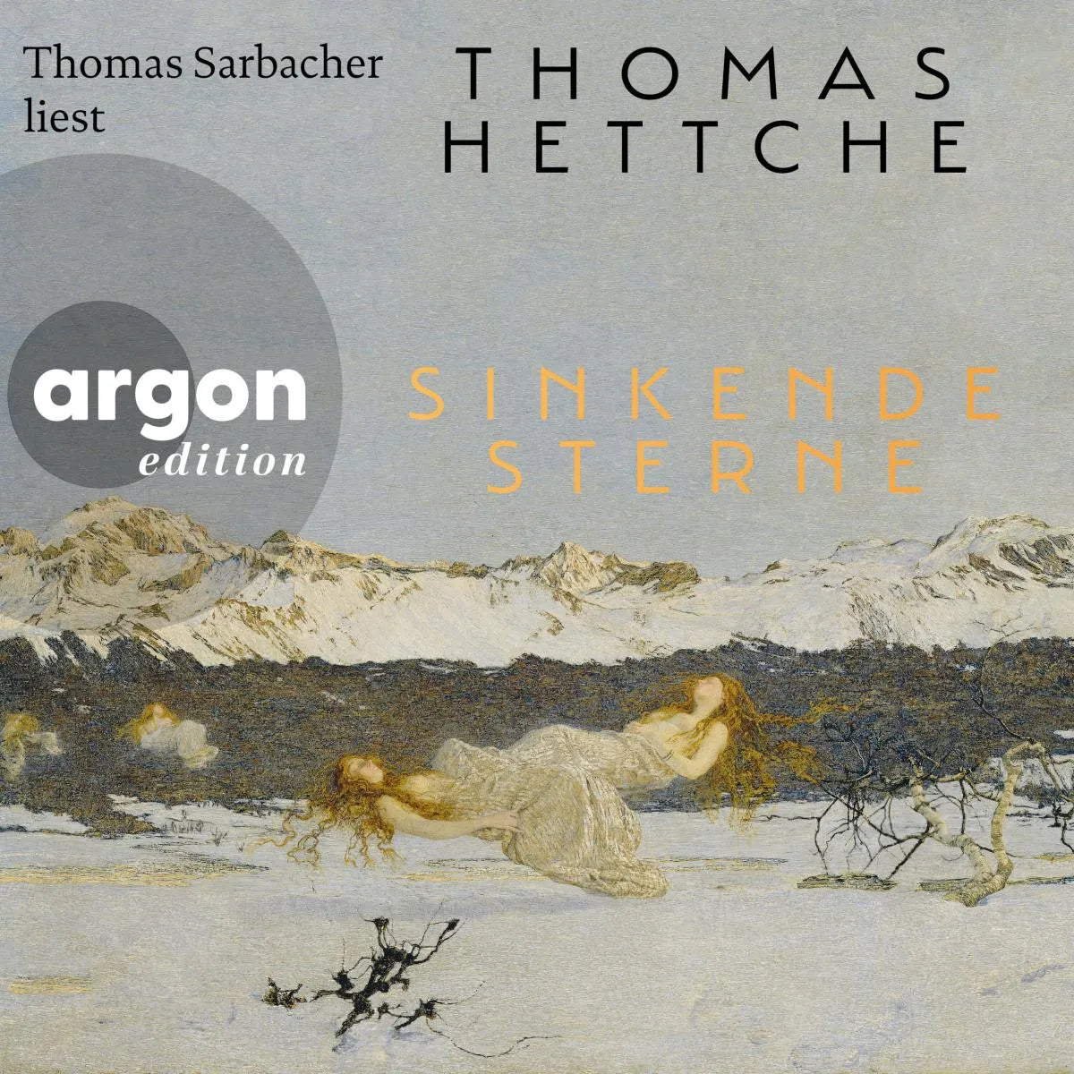 Cover: Sinkende Sterne (Hörbuch Download) von Thomas Hettche