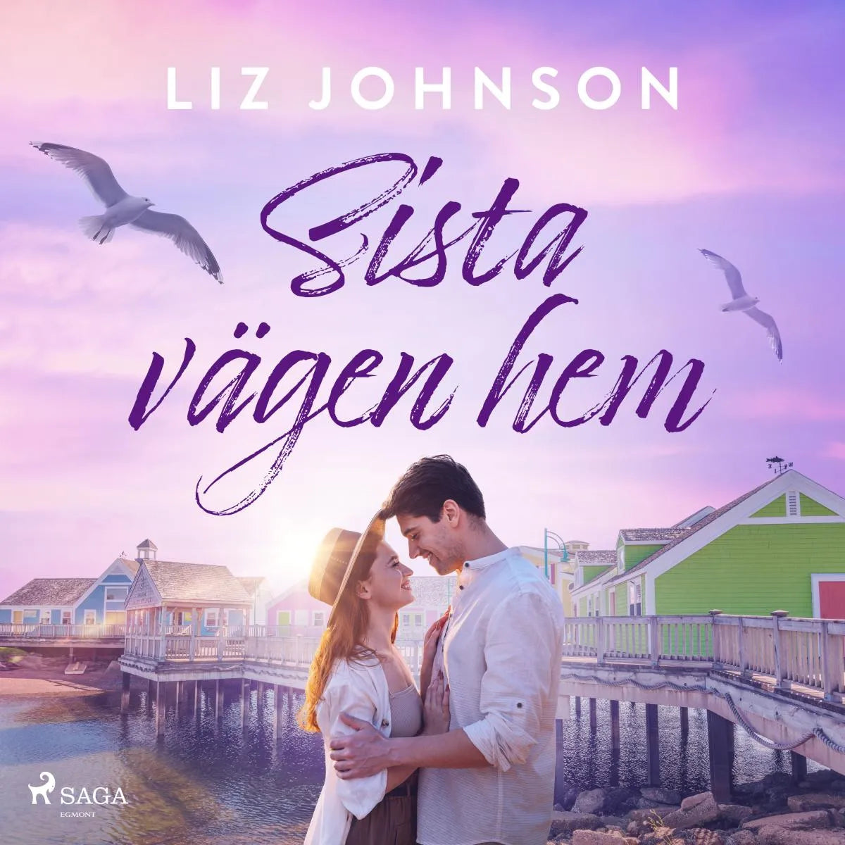 Cover: Sista vägen hem (Hörbuch Download) von Liz Johnson