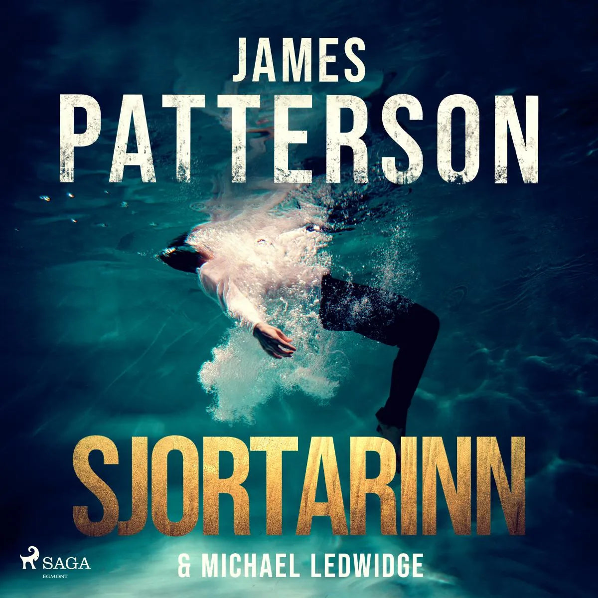 Cover: Sjortarinn (Hörbuch Download) von Michael Ledwidge