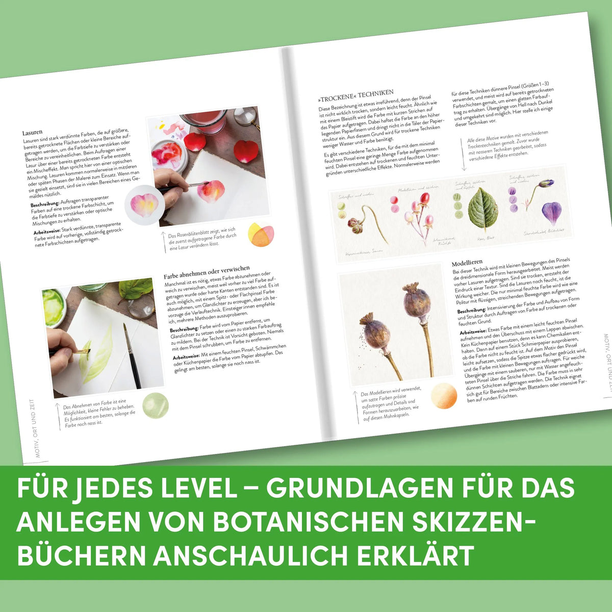Detailansicht: Sketching Nature (Hardcover)
