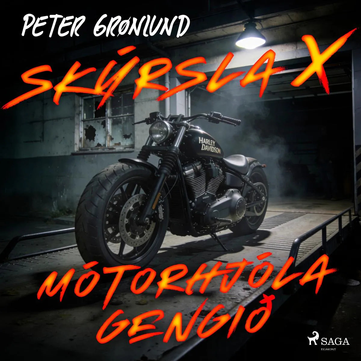 Cover: Skýrsla X - Mótorhjólagengið (Hörbuch Download) von Peter Grønlund