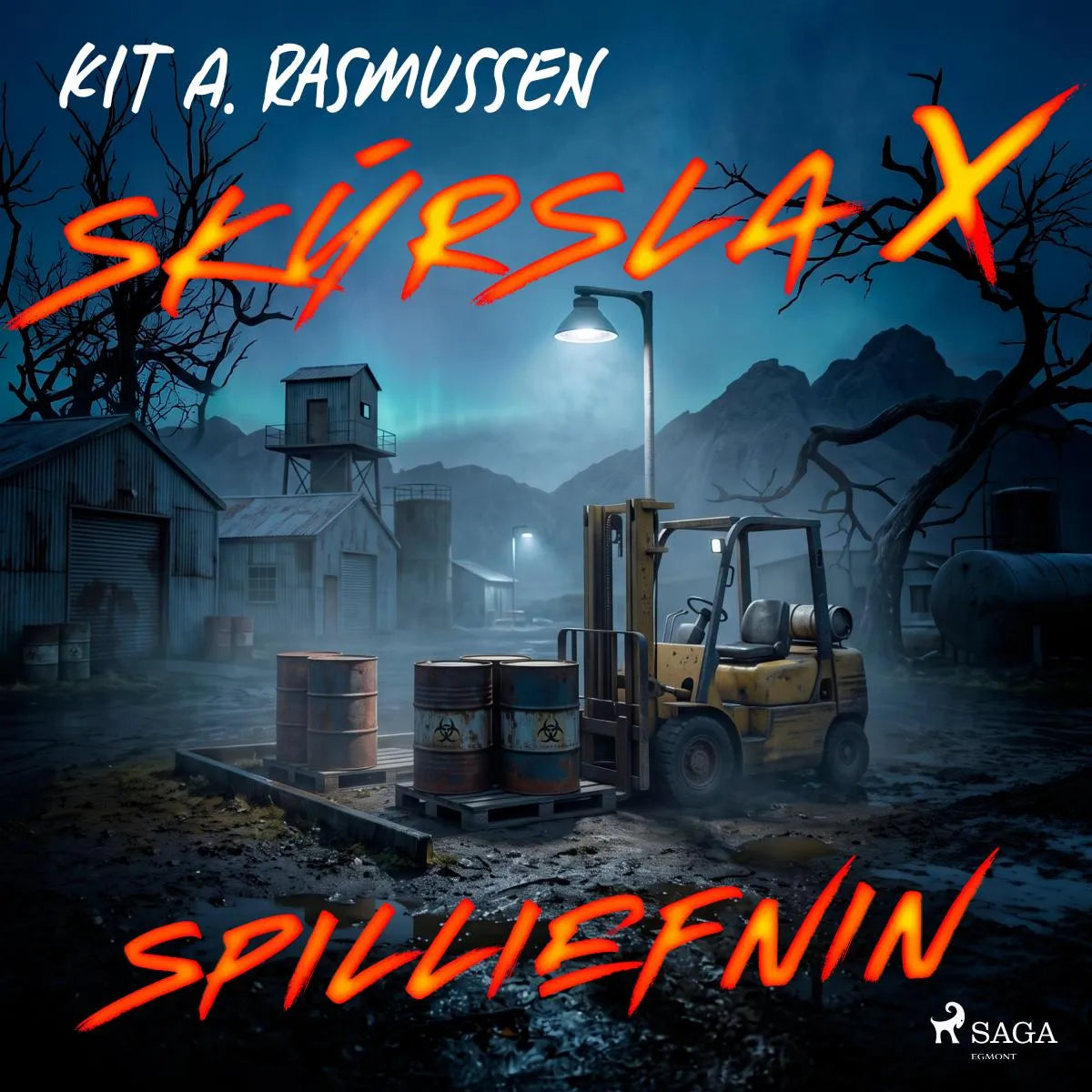 Cover: Skýrsla X - Spilliefnin (Hörbuch Download) von Kit A. Rasmussen