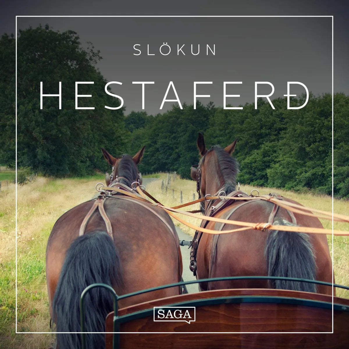 Cover: Slökun - Hestaferð (Hörbuch Download) von Rasmus Broe