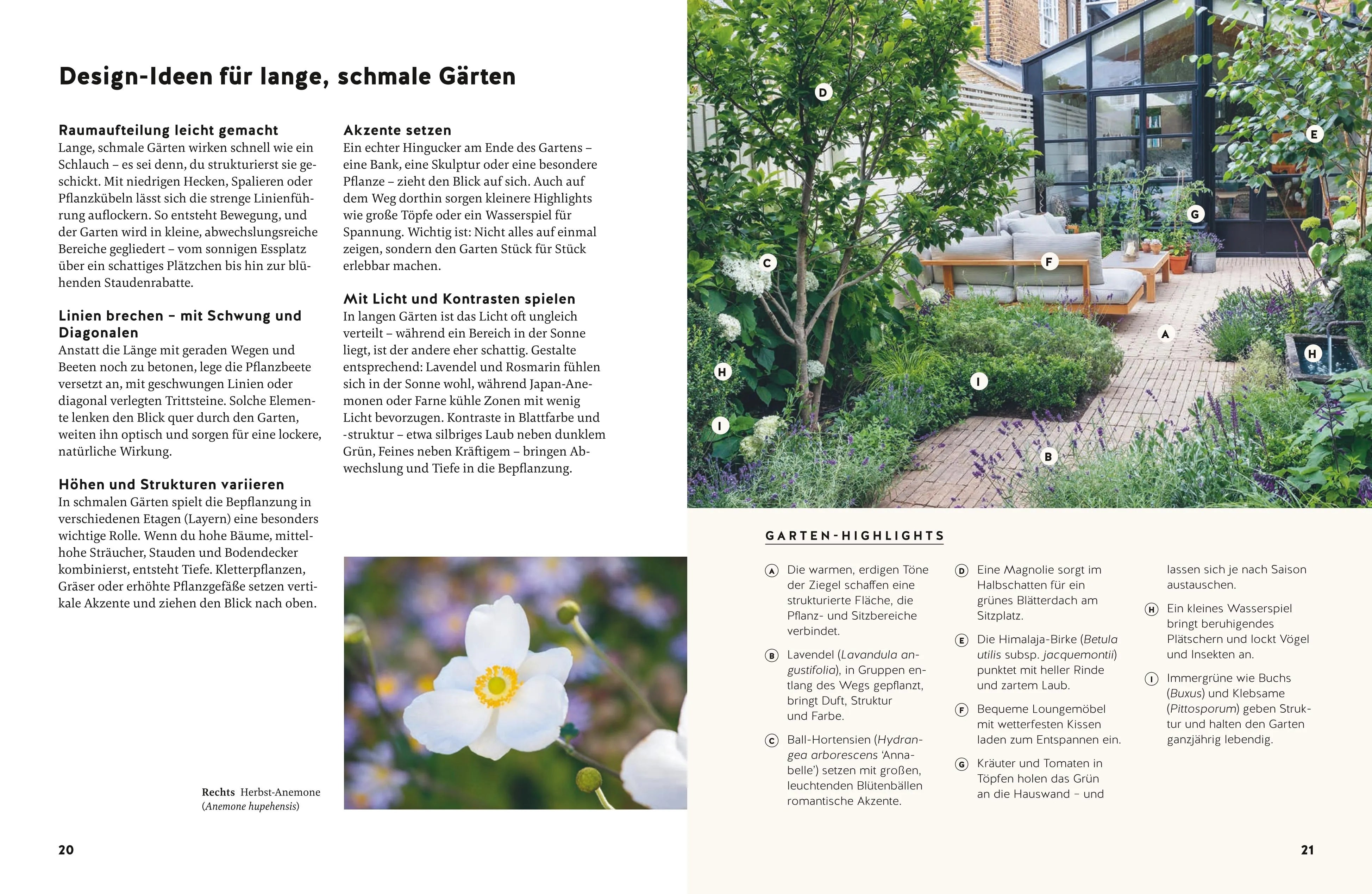 Folko Kullmann - Small Garden Beauty