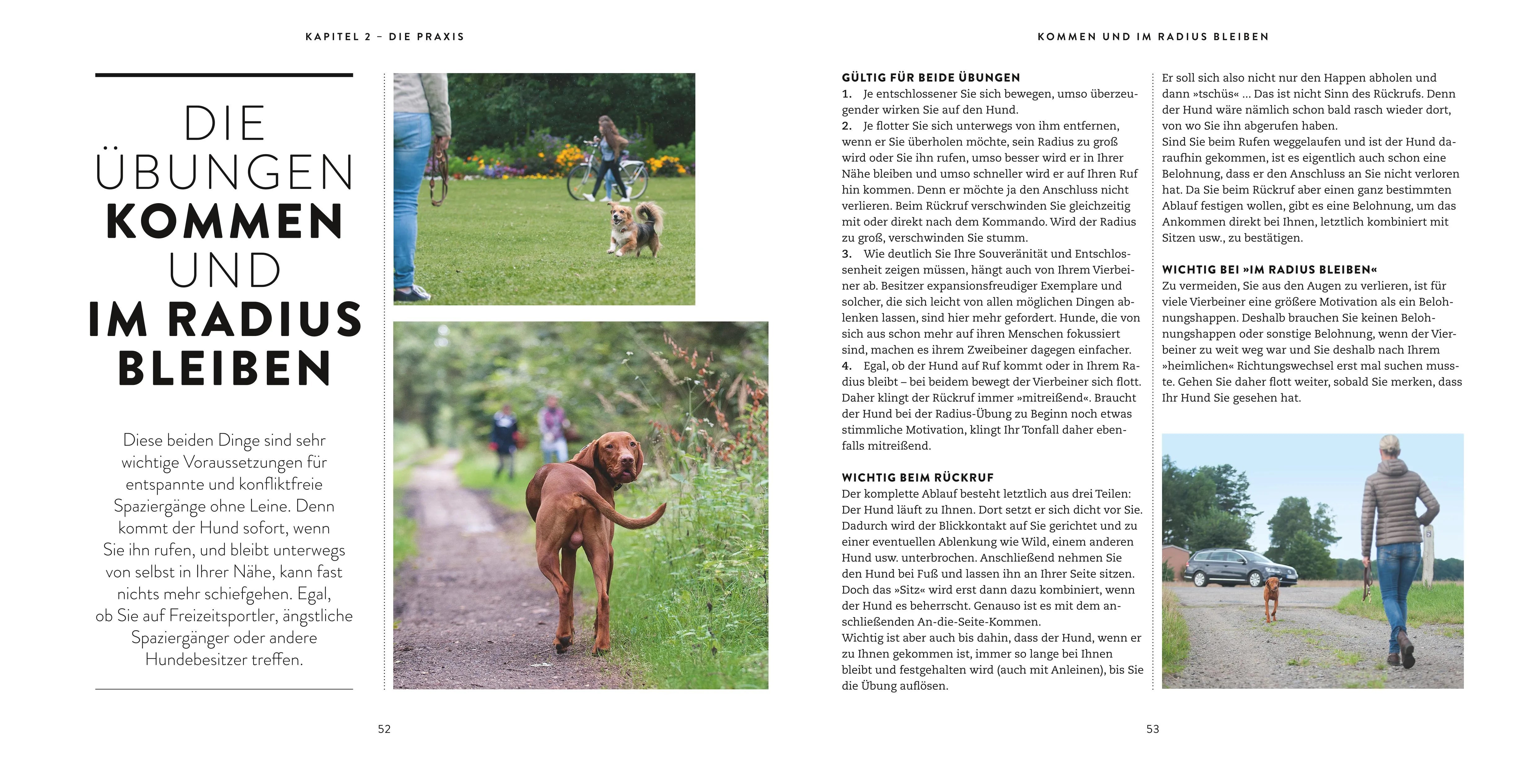 Produktansicht: So einfach geht Hundeerziehung (Taschenbuch)