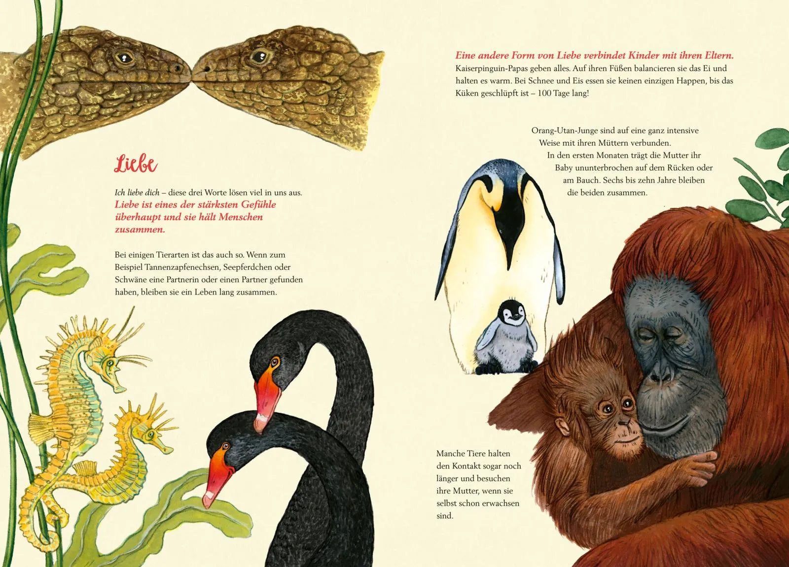 Detailansicht: So fühlen die Tiere (Hardcover)