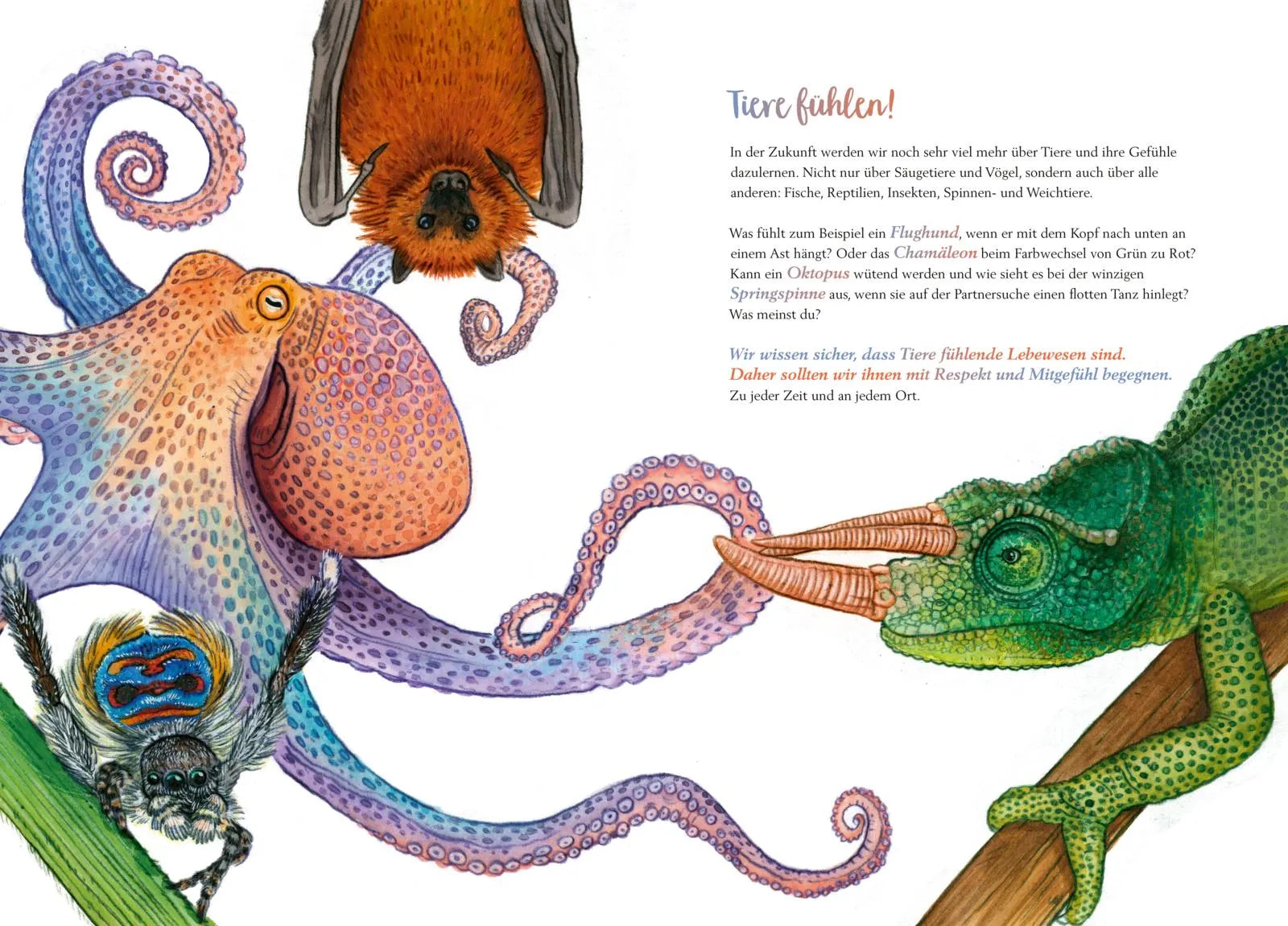 Detailansicht: So fühlen die Tiere (Hardcover)