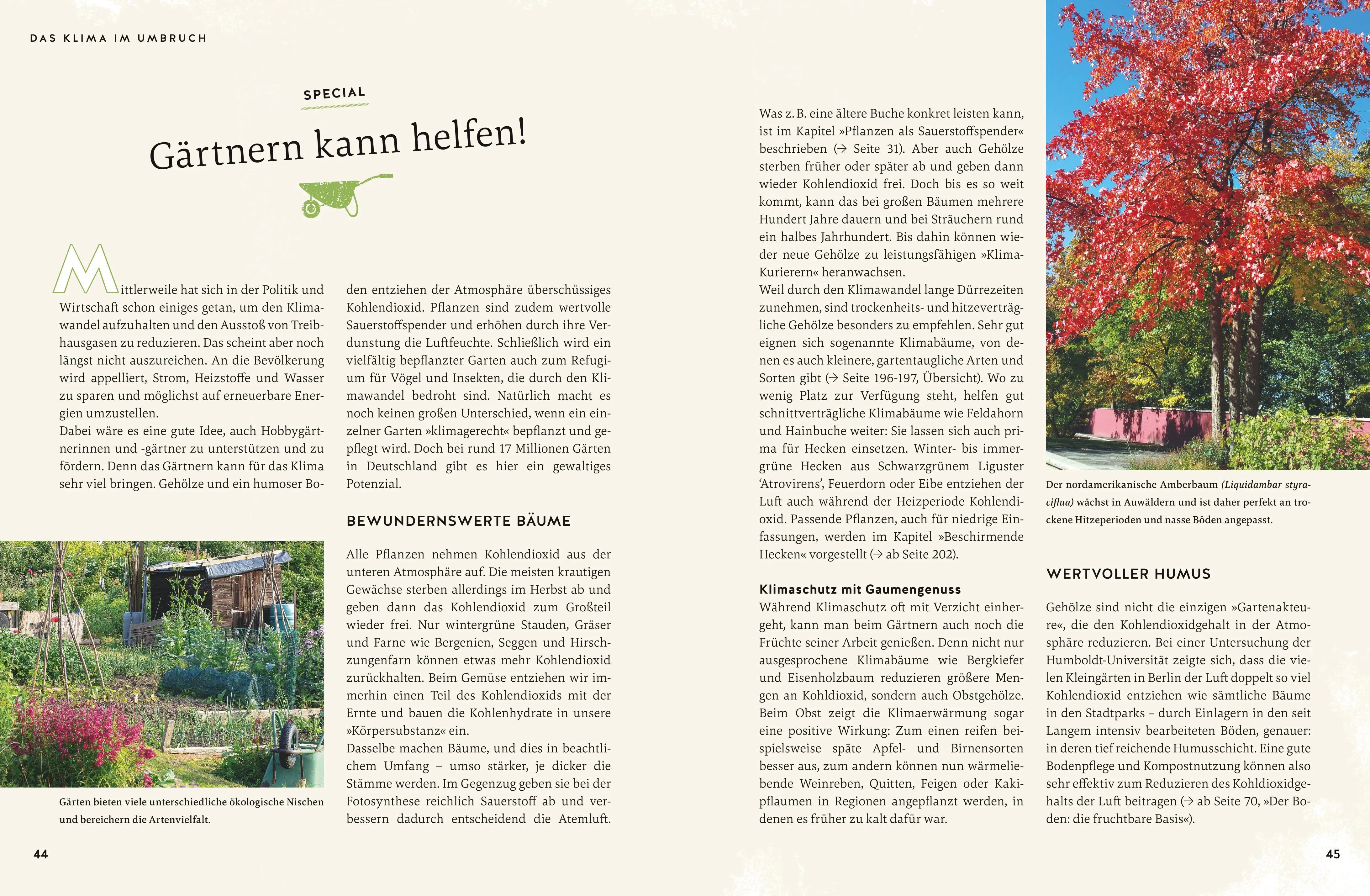 Abbildung von 'So wird der Garten fit fürs Klima'