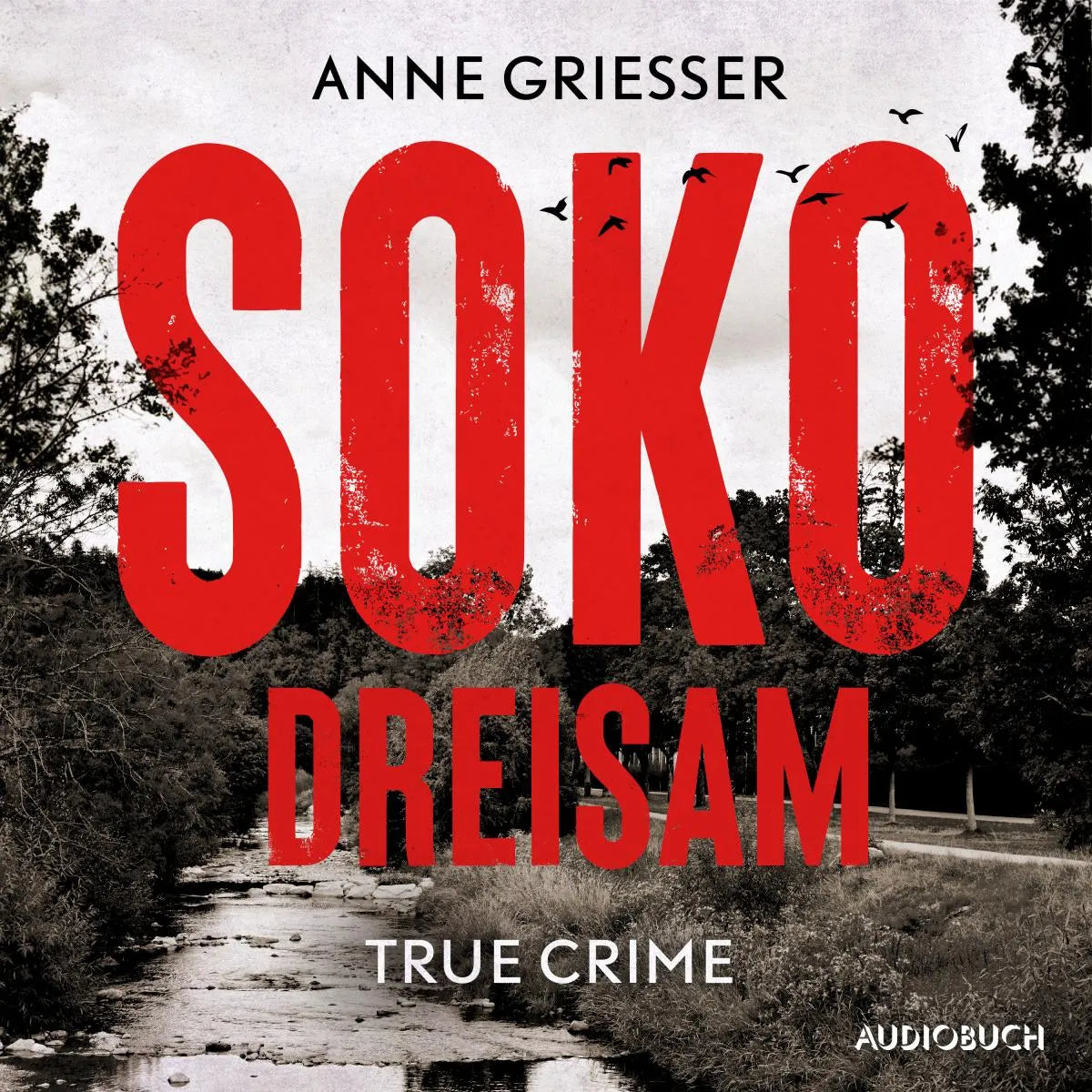 Cover: SOKO Dreisam (Hörbuch Download) von Anne Grießer