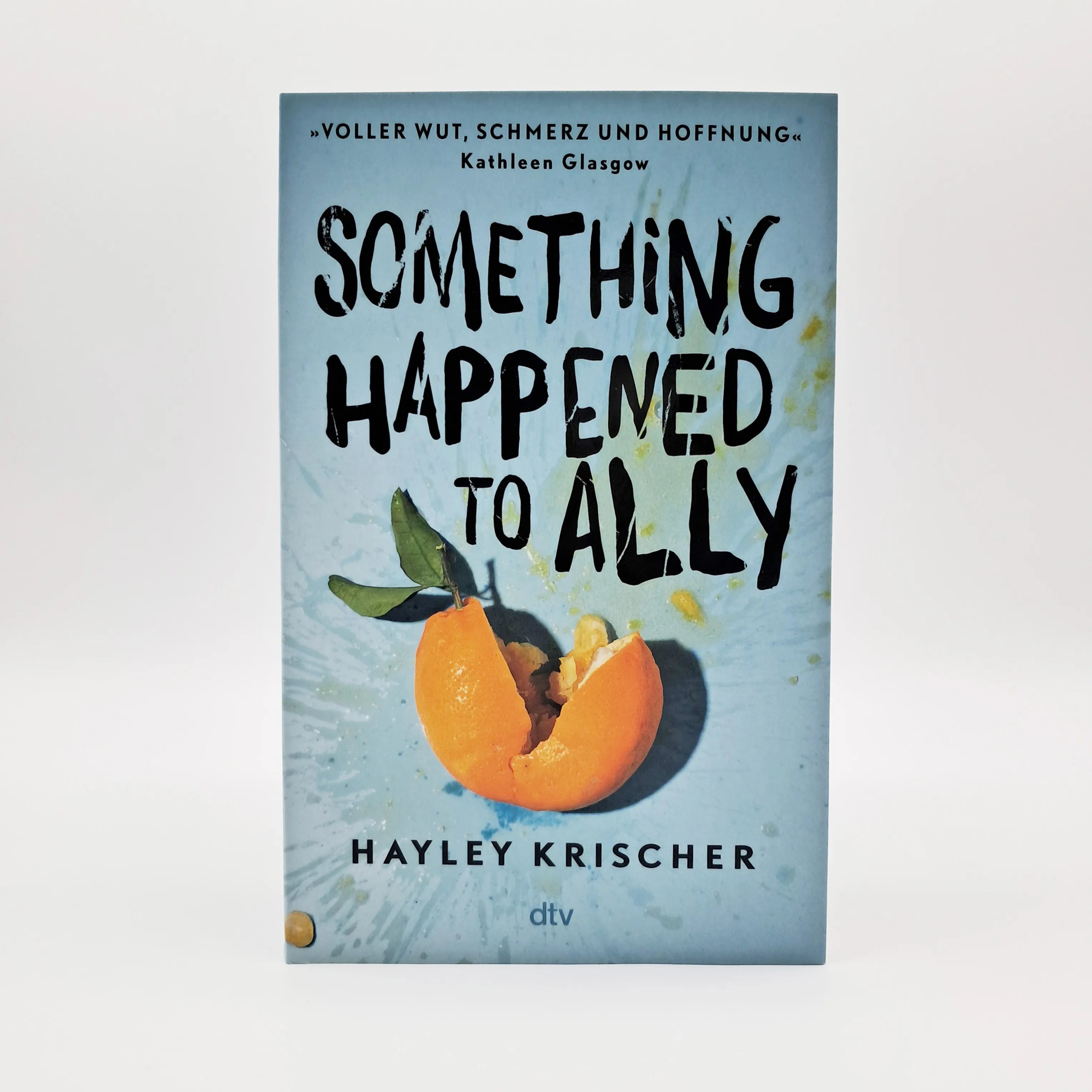 Abbildung von 'Something happened to Ally'