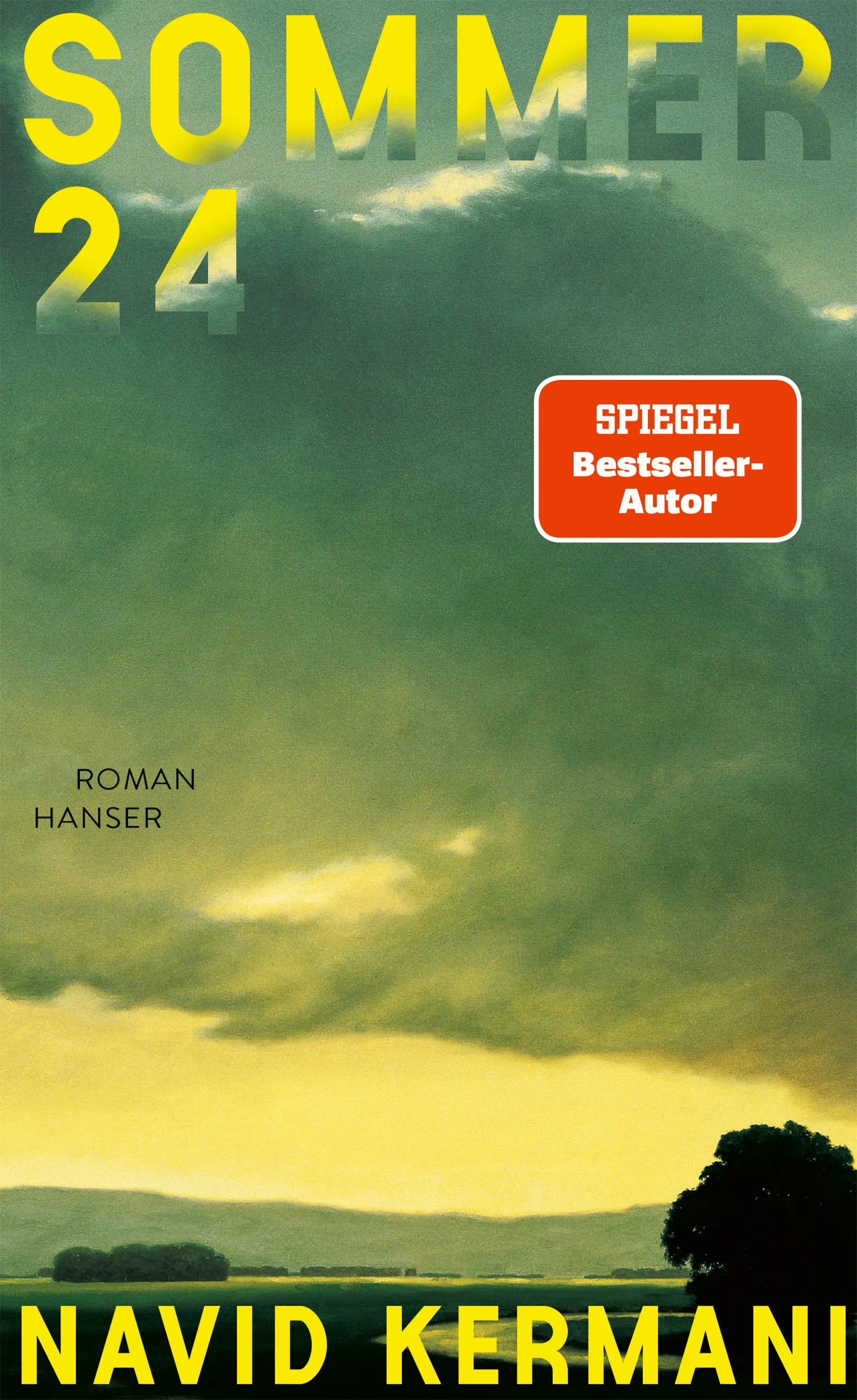 Buchcover von 'Sommer 24' - Gebundene Ausgabe von Navid Kermani
