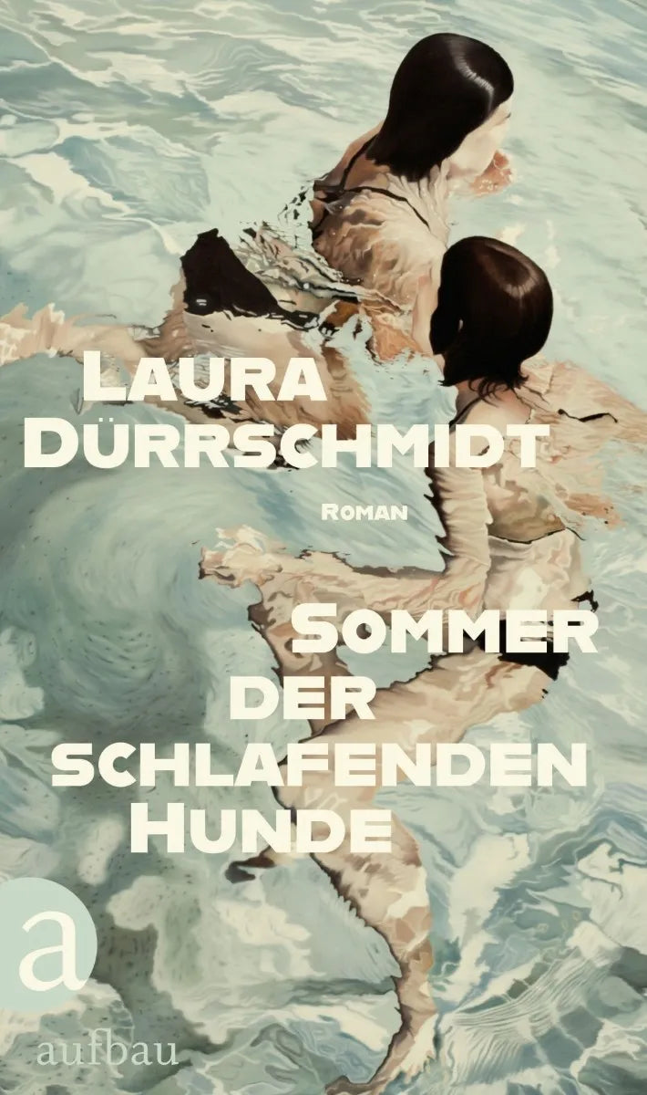 Cover: Sommer der schlafenden Hunde (E-Book) von Laura Dürrschmidt