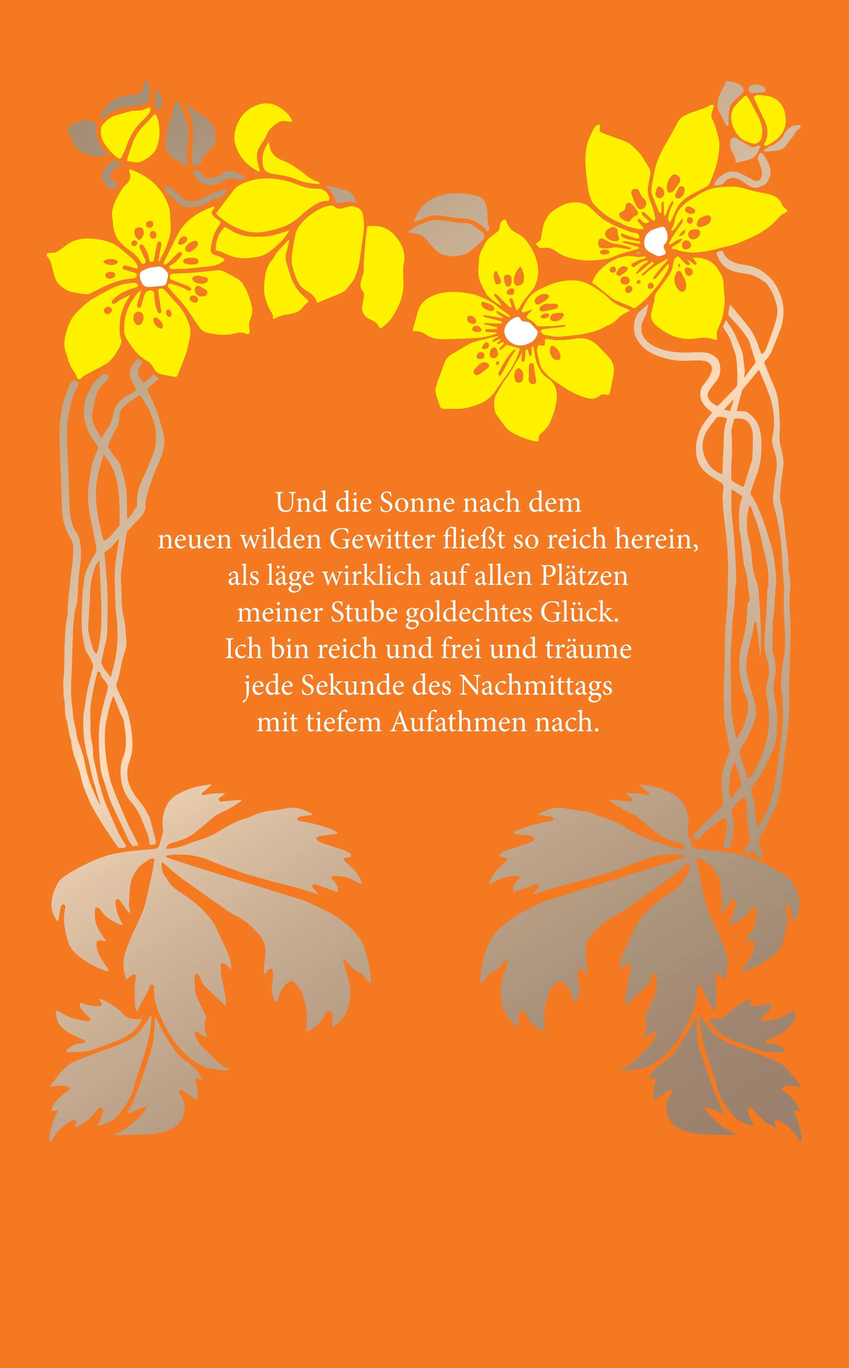 Buchrückseite von 'Sommer' mit Klappentext - Taschenbuch