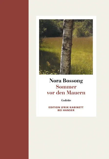 Buchcover von 'Sommer vor den Mauern' - Gebundene Ausgabe von Nora Bossong