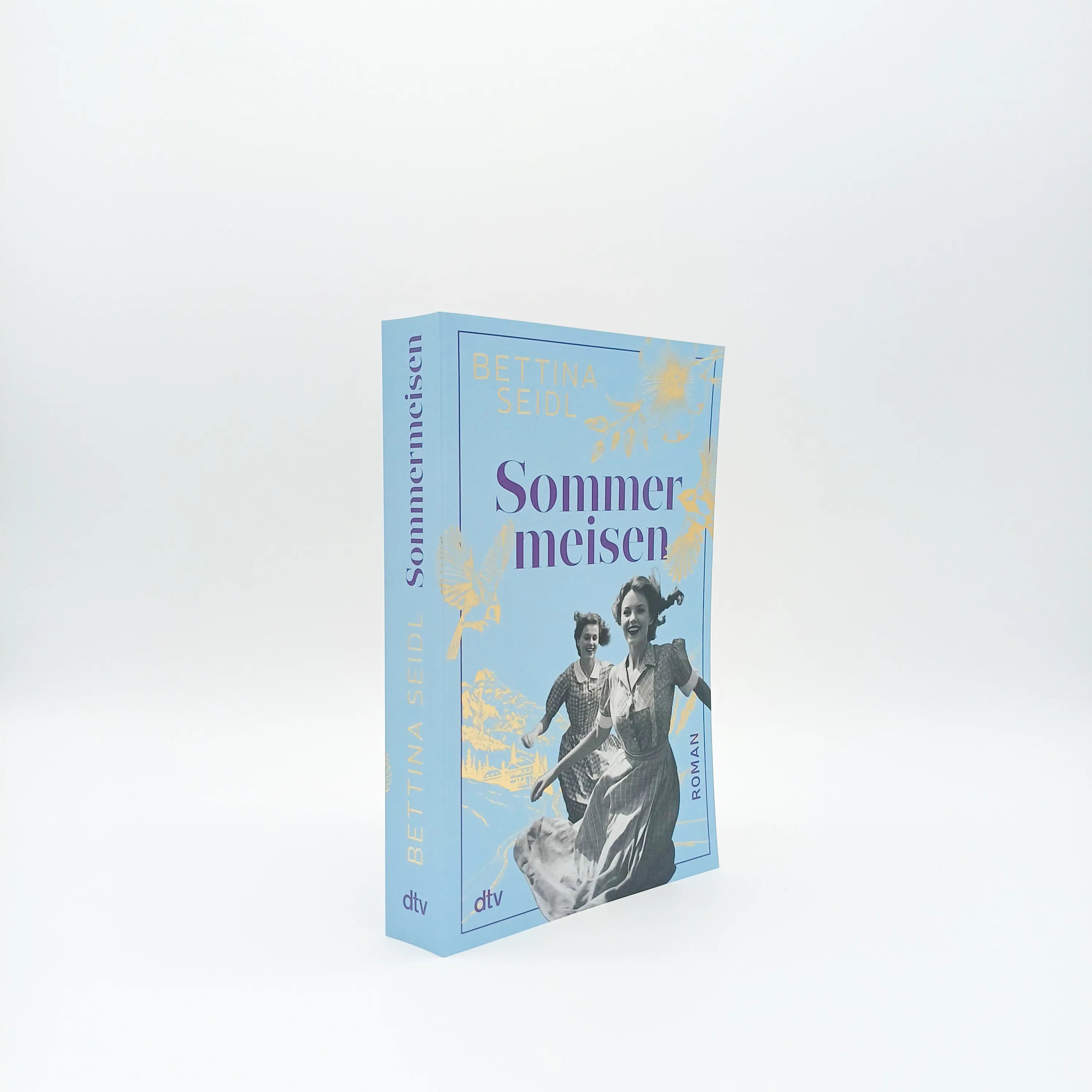 Produktansicht: Sommermeisen (Taschenbuch)
