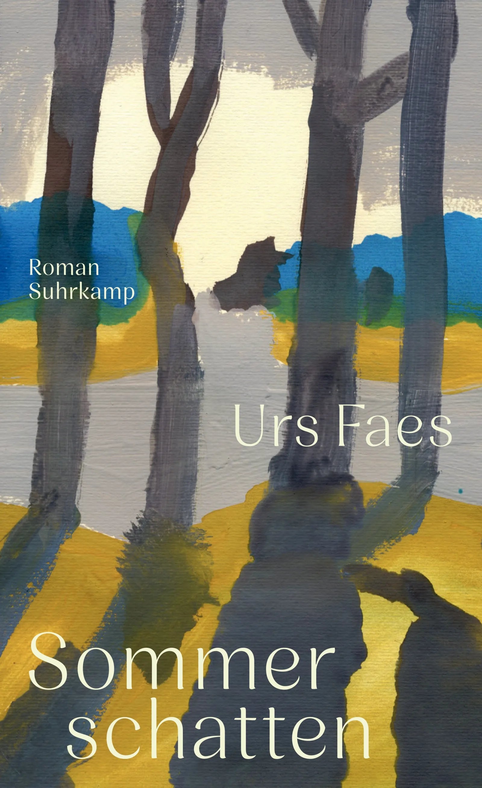 Cover: Sommerschatten (E-Book) von Urs Faes