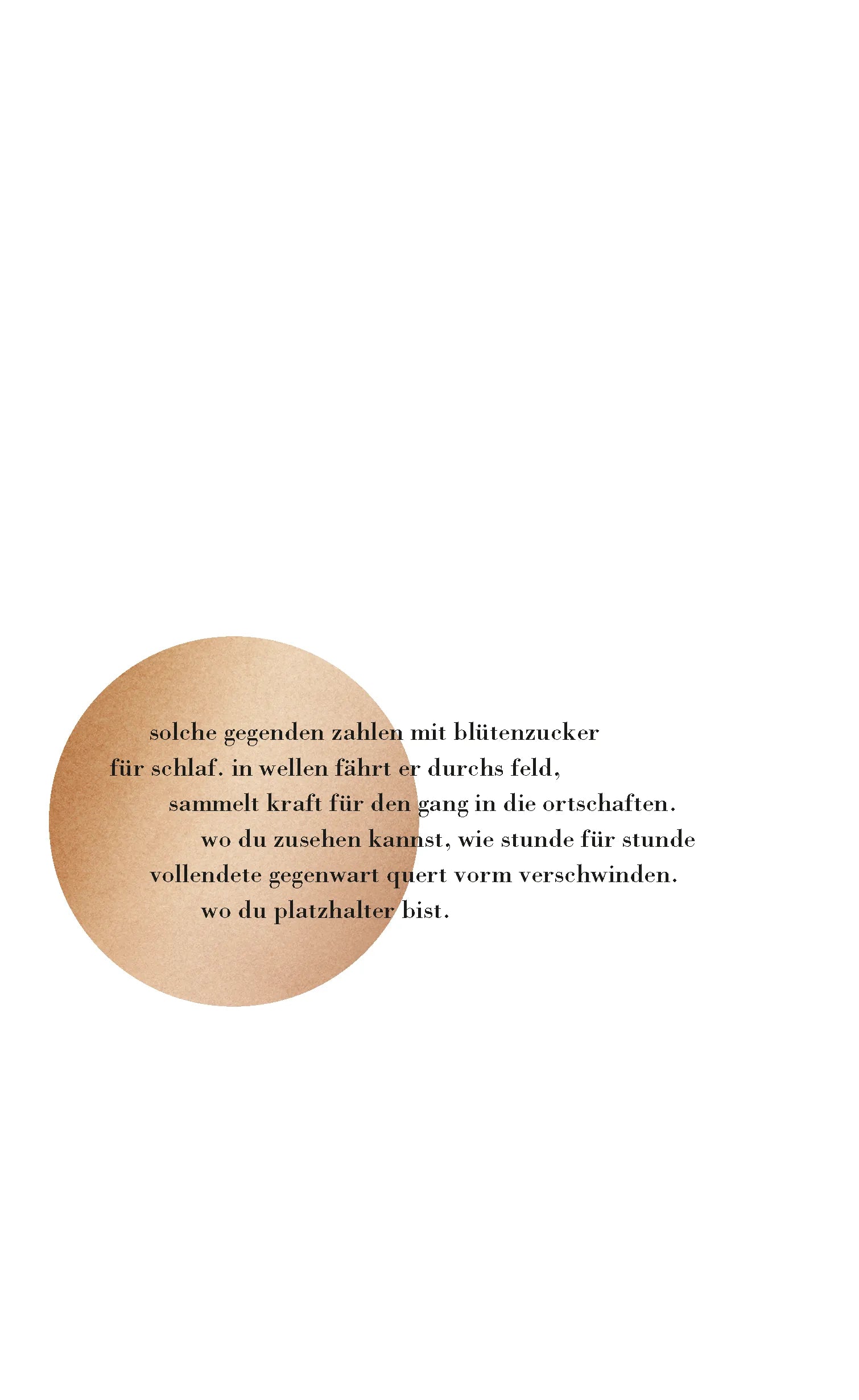 Buchrückseite von 'sommerschaums ernte' mit Klappentext - Gebundene Ausgabe
