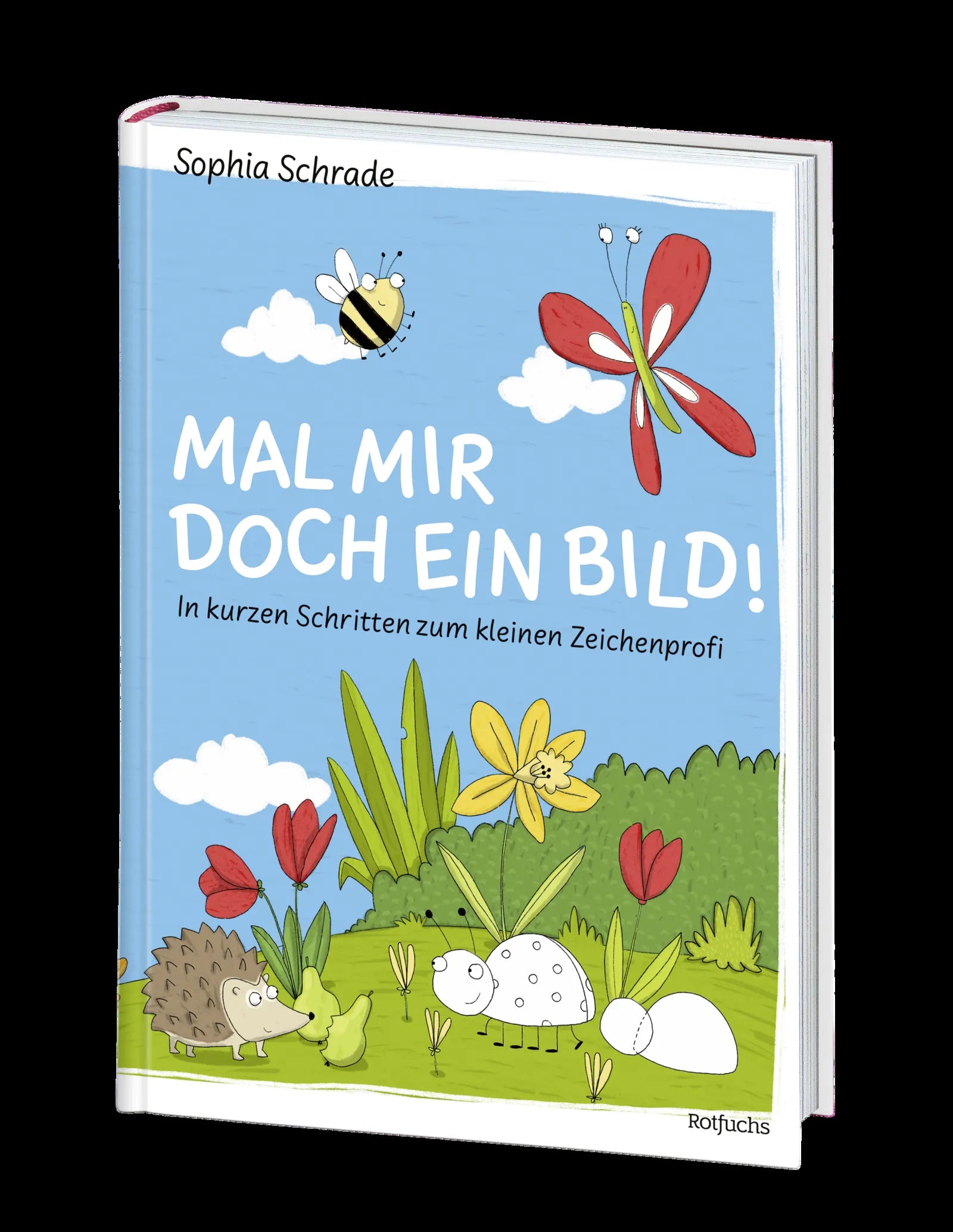 Produktansicht: Mal mir doch ein Bild! In kurzen Schritten zum kleinen Zeichenprofi (Gebundene Ausgabe)