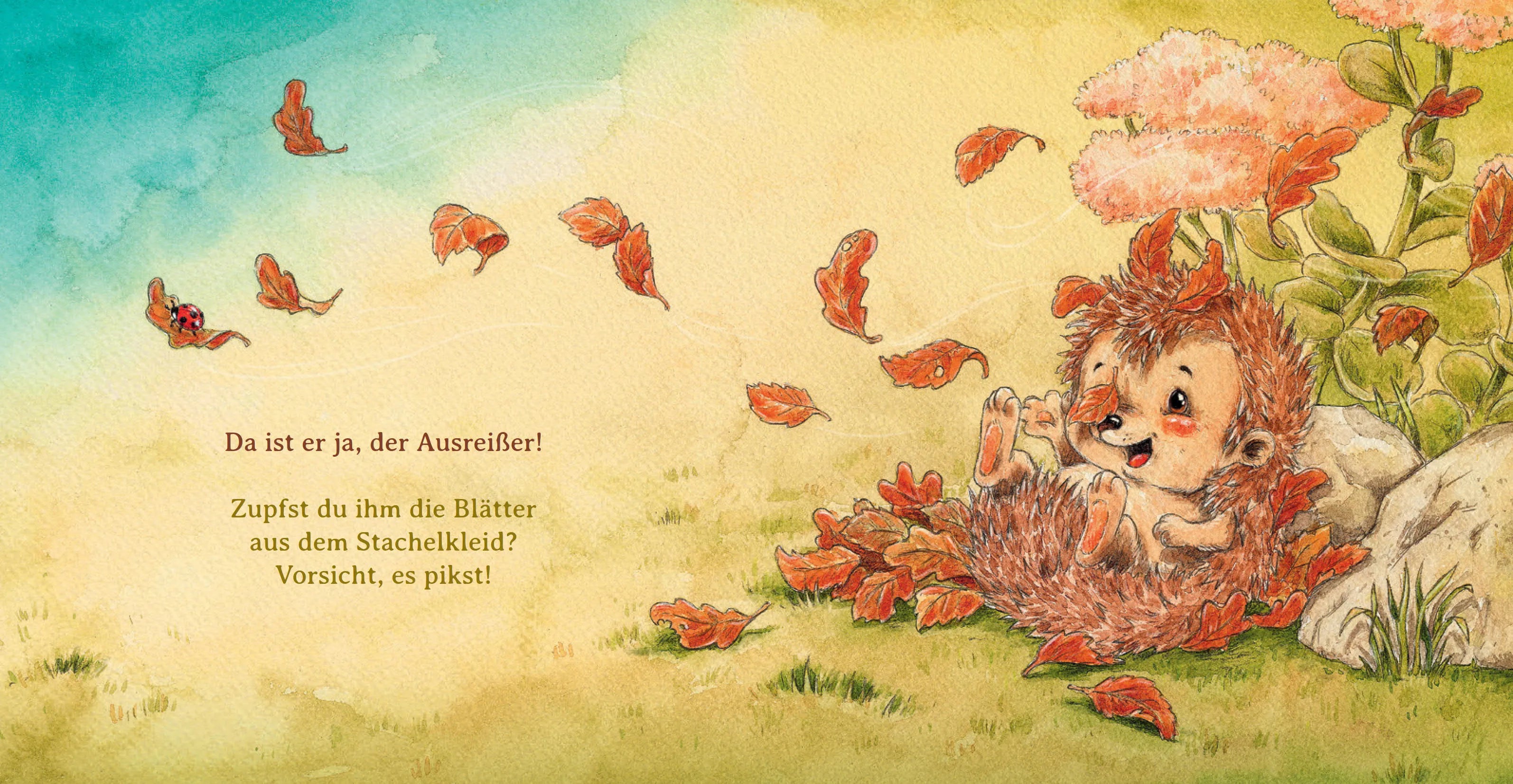 Produktansicht: Schlaf schön, kleiner Igel (Gebundene Ausgabe)