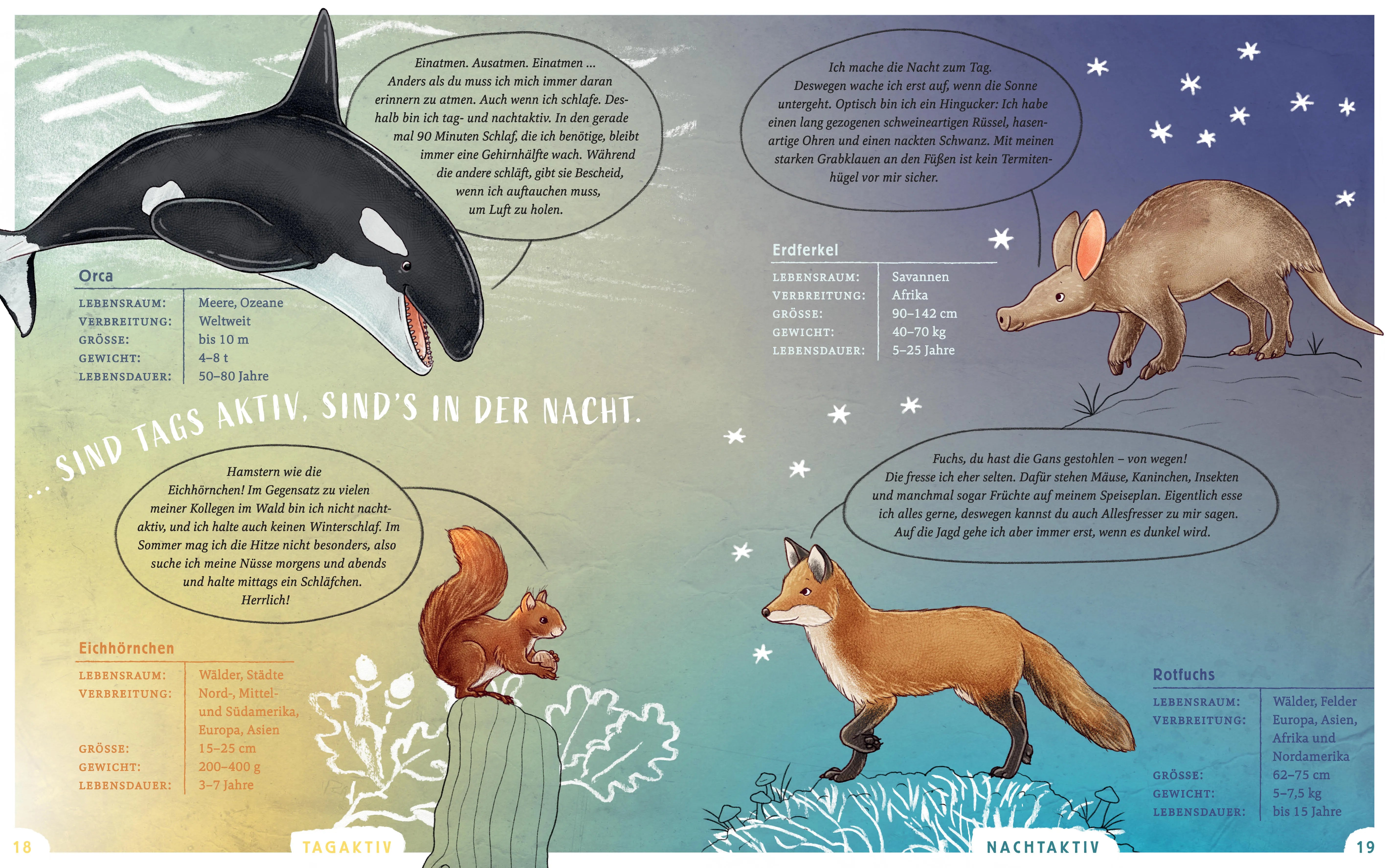Produktansicht: Wir sind die Tiere dieser Welt - Das große Tier-Lexikon der Gemeinsamkeiten und Unterschiede (Gebundene Ausgabe)