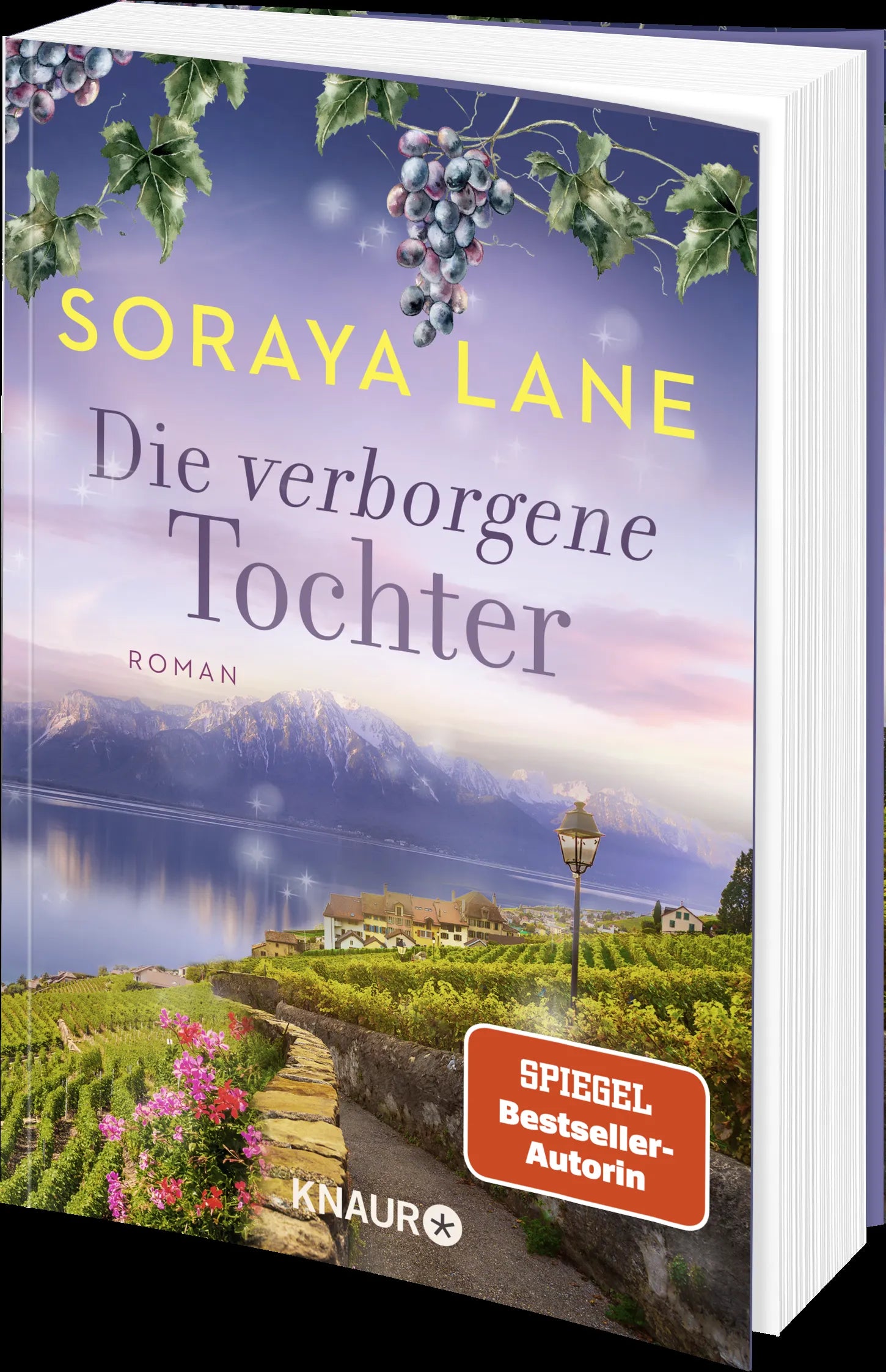 Produktansicht: Die verborgene Tochter (Taschenbuch)