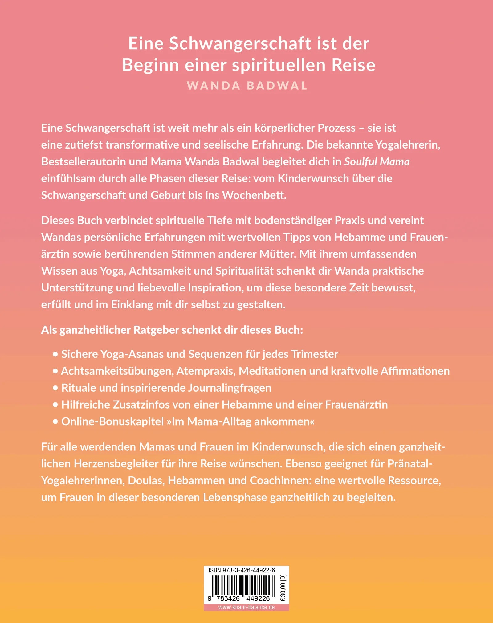 Rückseite: Soulful Mama (Paperback)