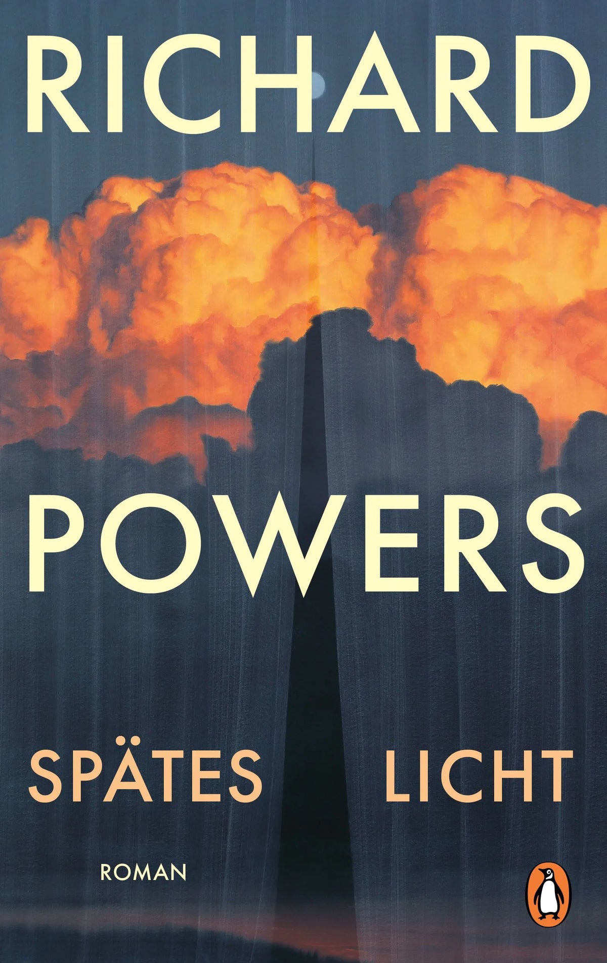 Cover: Spätes Licht (Hardcover) von Richard Powers