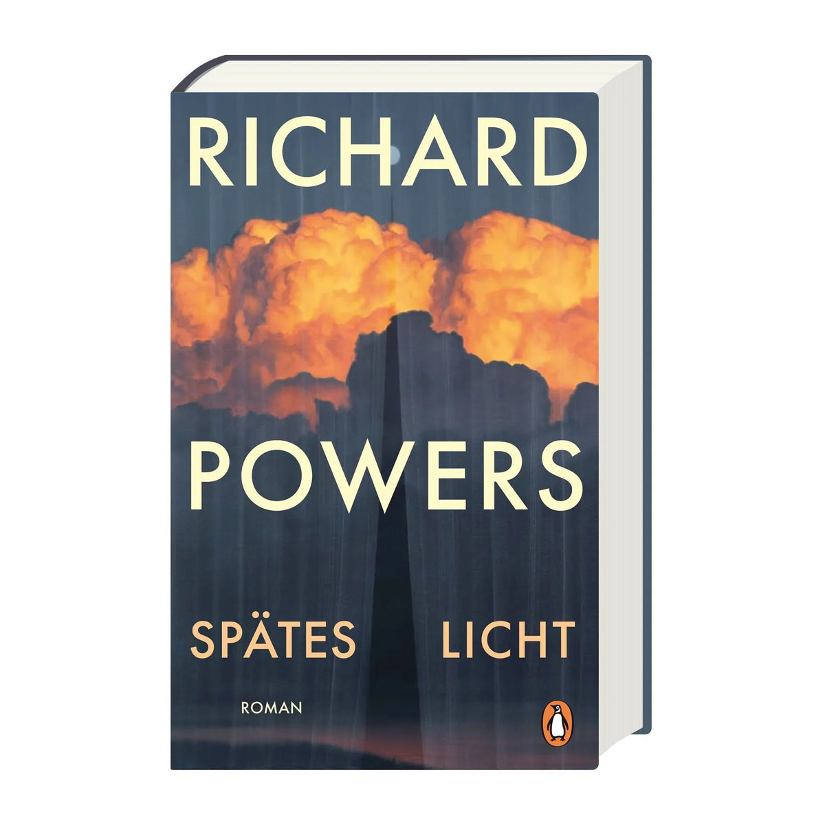 Detailansicht: Spätes Licht (Hardcover)