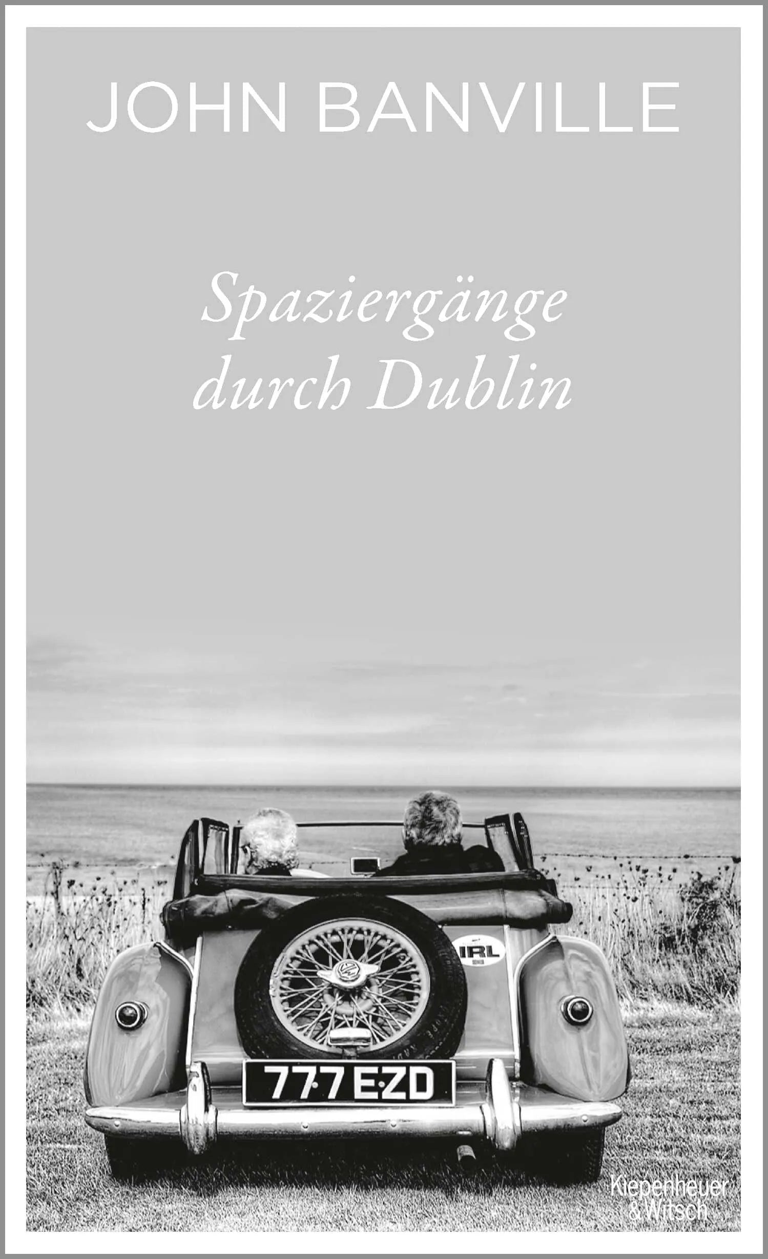 Buchcover von 'Spaziergänge durch Dublin' - Gebundene Ausgabe von John Banville