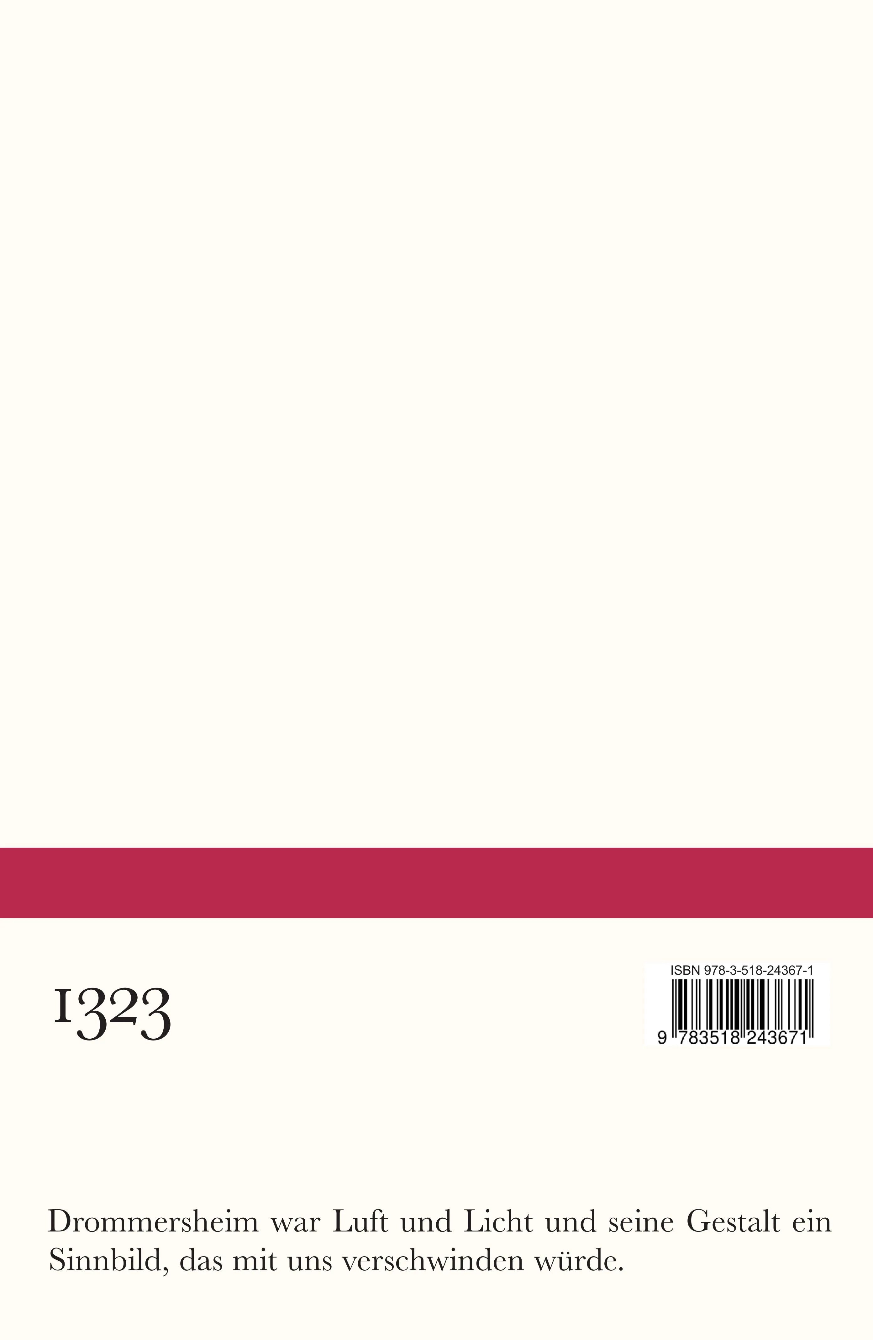 Buchrückseite von 'Spiegelhütte' mit Klappentext - Taschenbuch