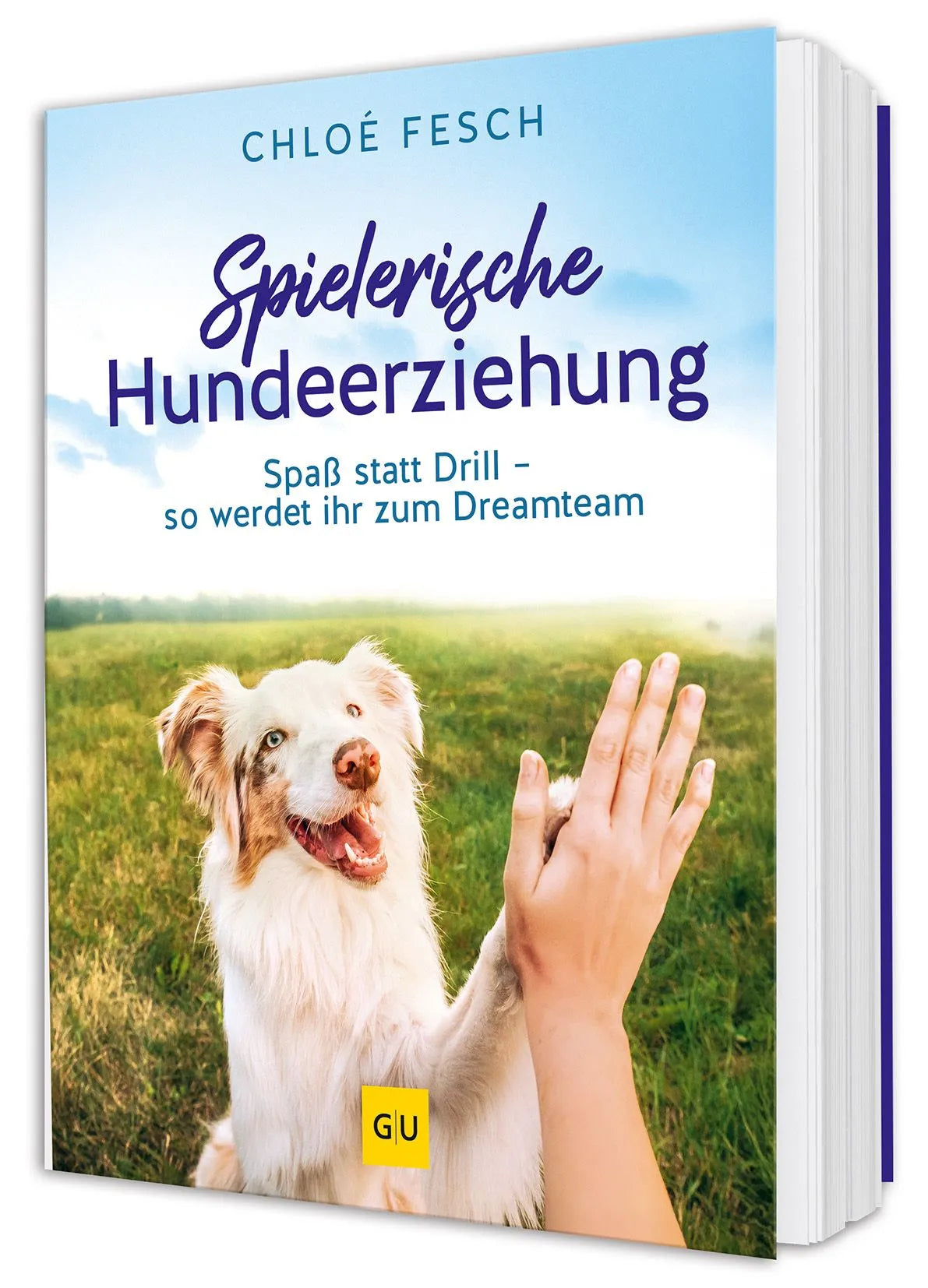 Cover: Spielerische Hundeerziehung (Hardcover) von Chloé Fesch