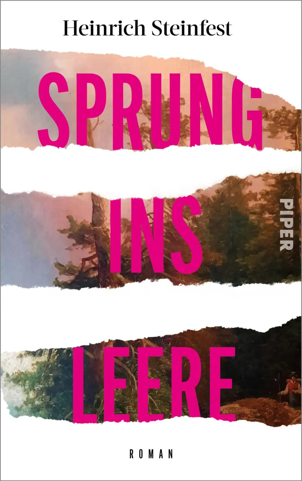 Buchcover von 'Sprung ins Leere' - Gebundene Ausgabe von Heinrich Steinfest