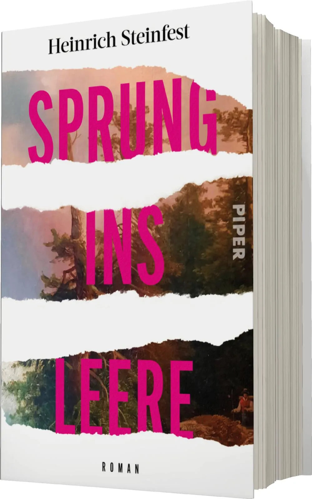 Heinrich Steinfest - Sprung ins Leere