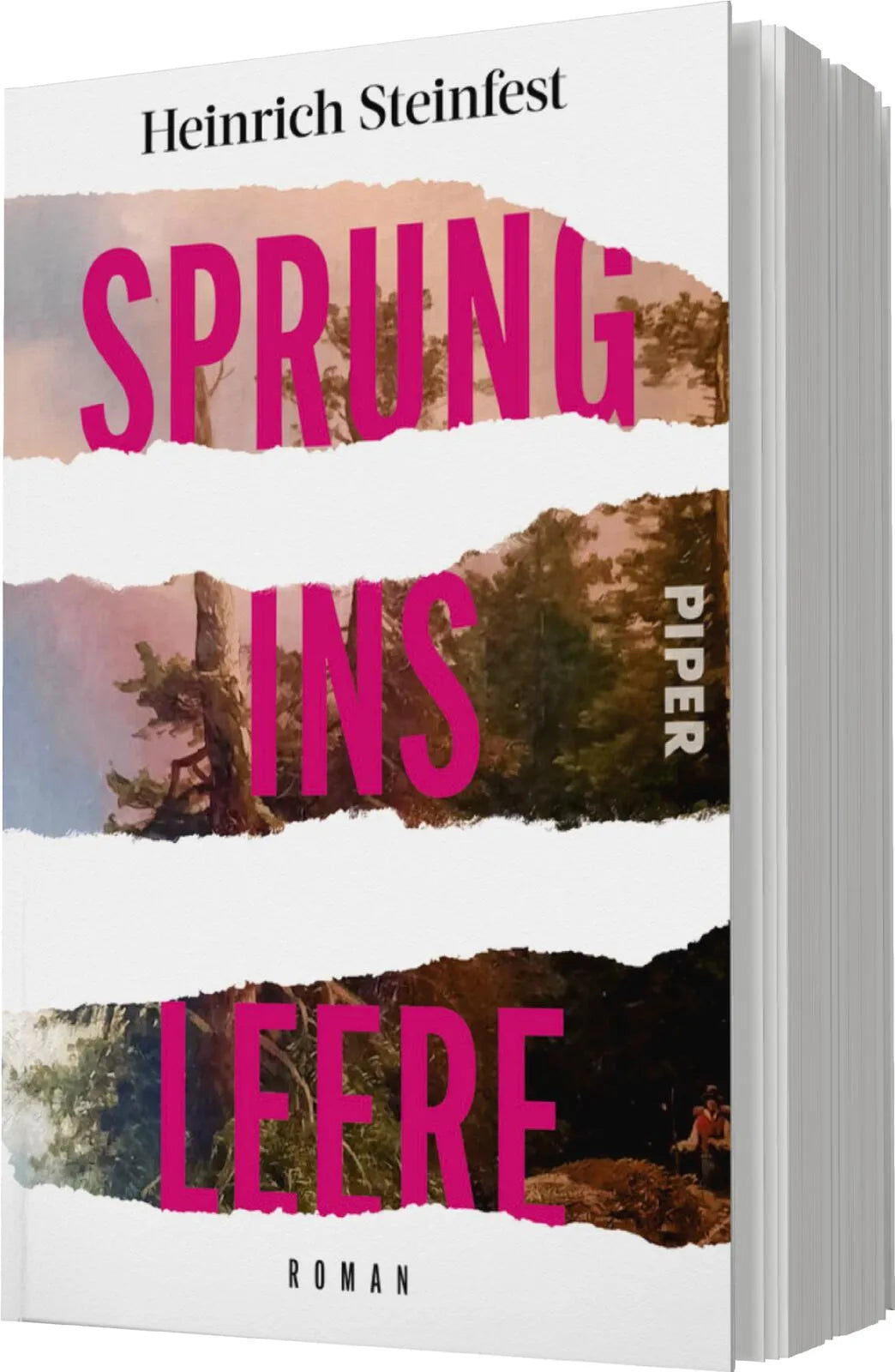 Heinrich Steinfest - Sprung ins Leere