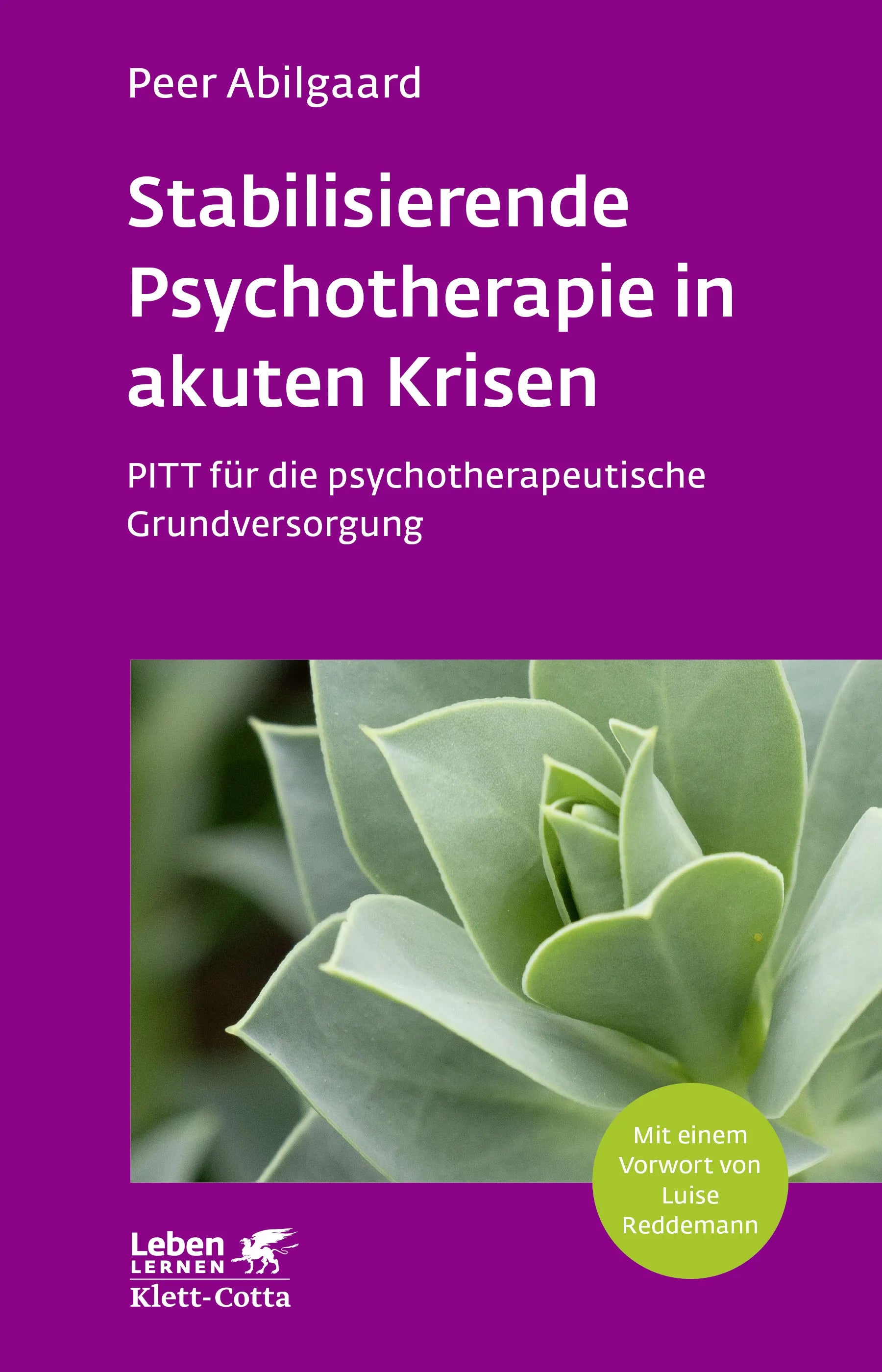 Buchcover von 'Stabilisierende Psychotherapie in akuten Krisen' - Paperback von Peer Abilgaard
