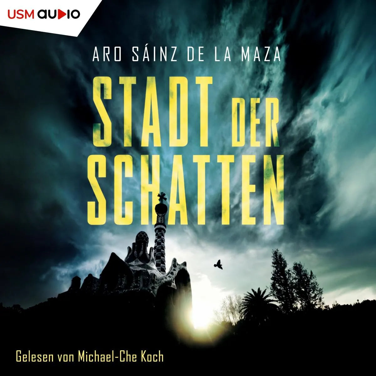 Cover: Stadt der Schatten (Hörbuch Download) von Aro Sáinz de la Maza