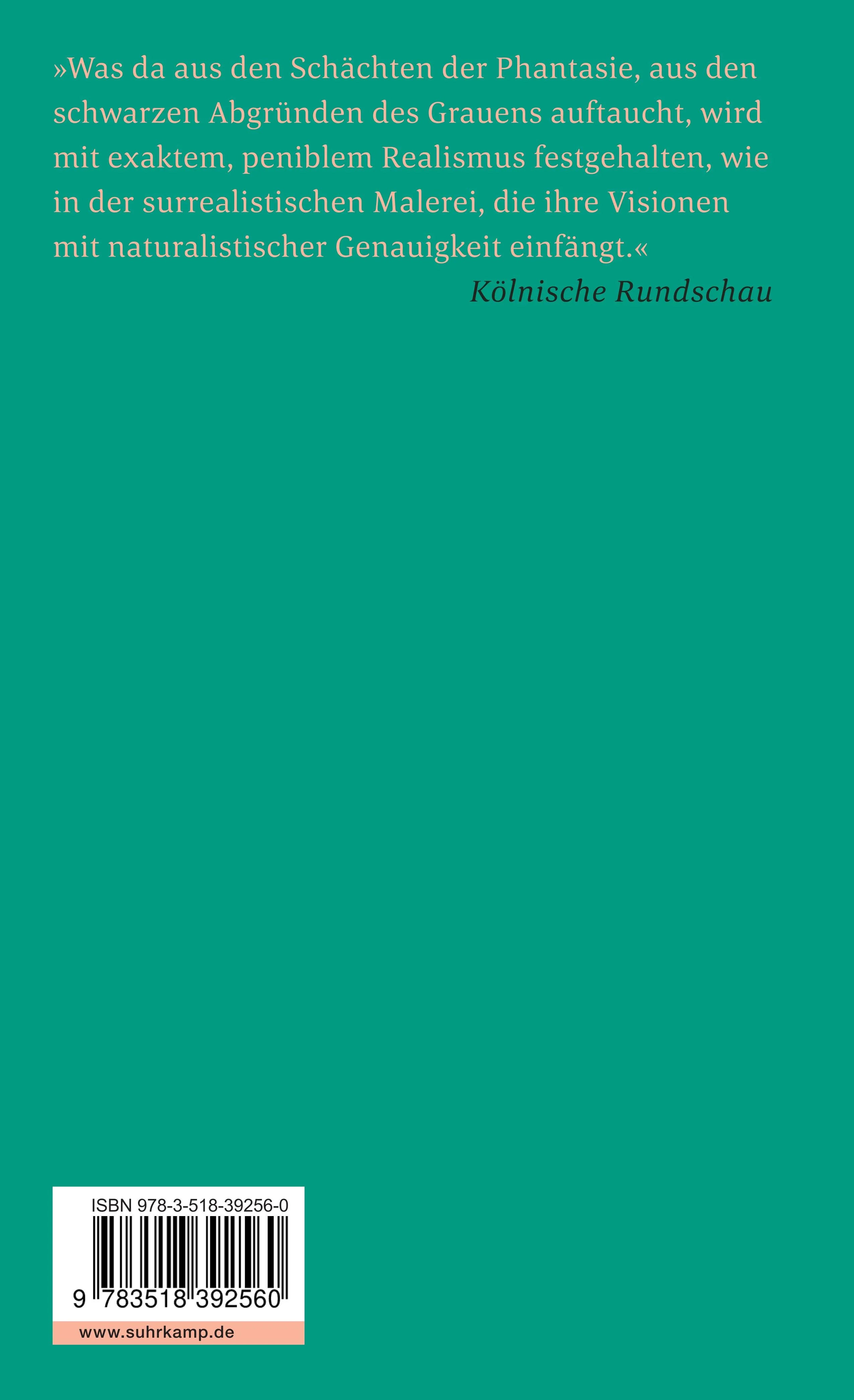 Buchrückseite von 'Stadt ohne Namen' mit Klappentext - Taschenbuch