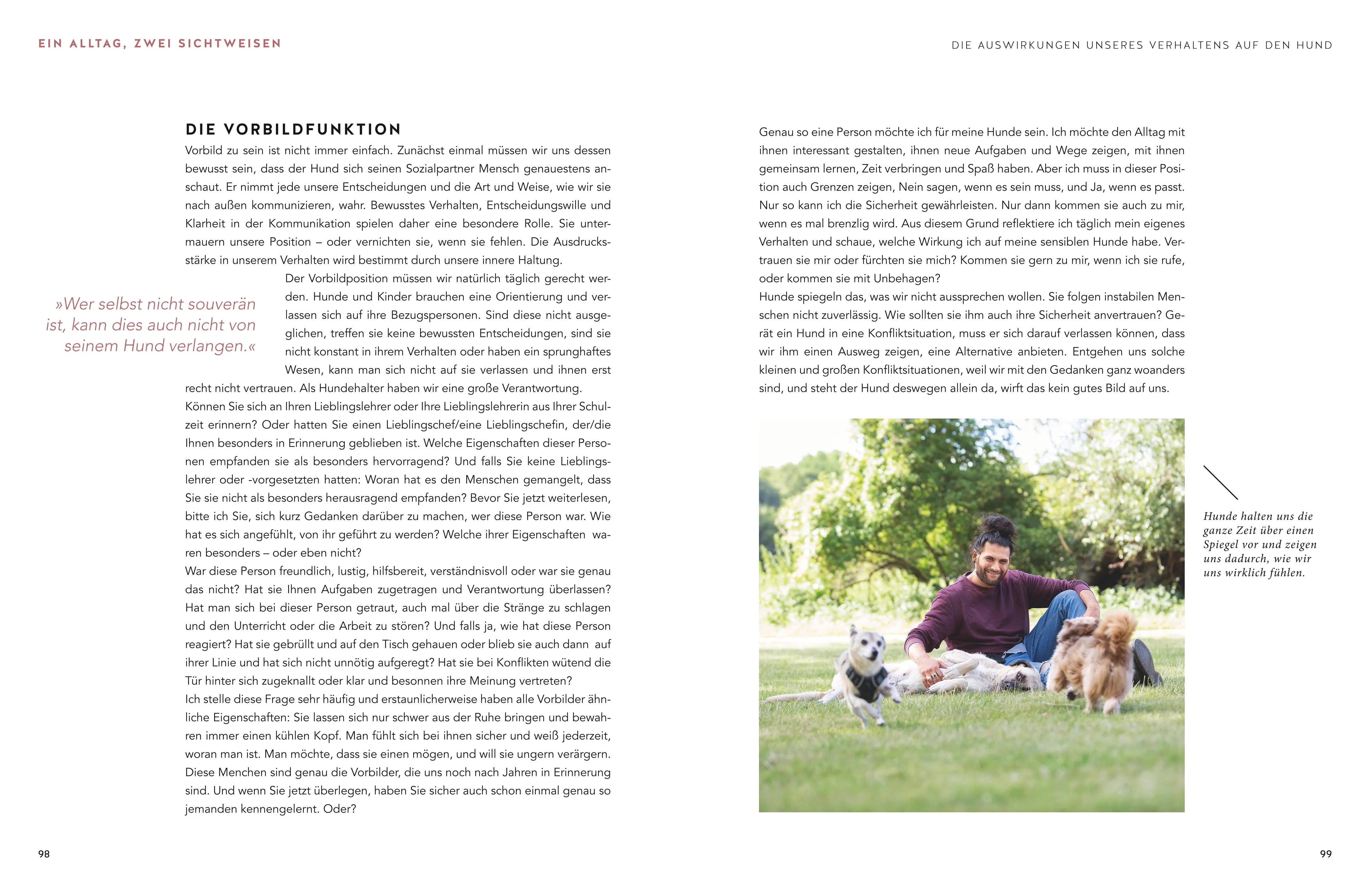 Produktansicht: Stadt-Wölfe (Gebundene Ausgabe)