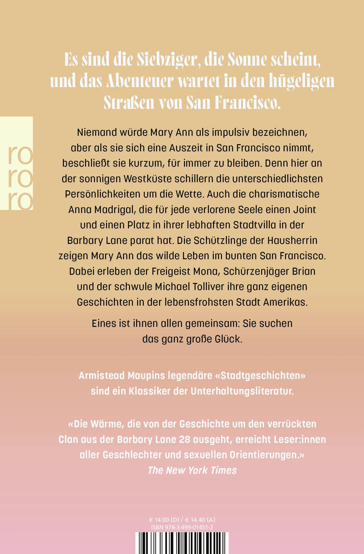 Buchrückseite von 'Stadtgeschichten' mit Klappentext - Taschenbuch