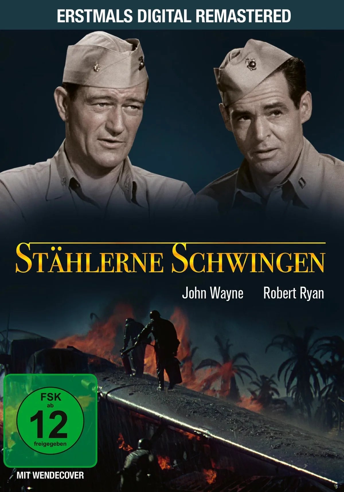 Stählerne Schwingen - DVD