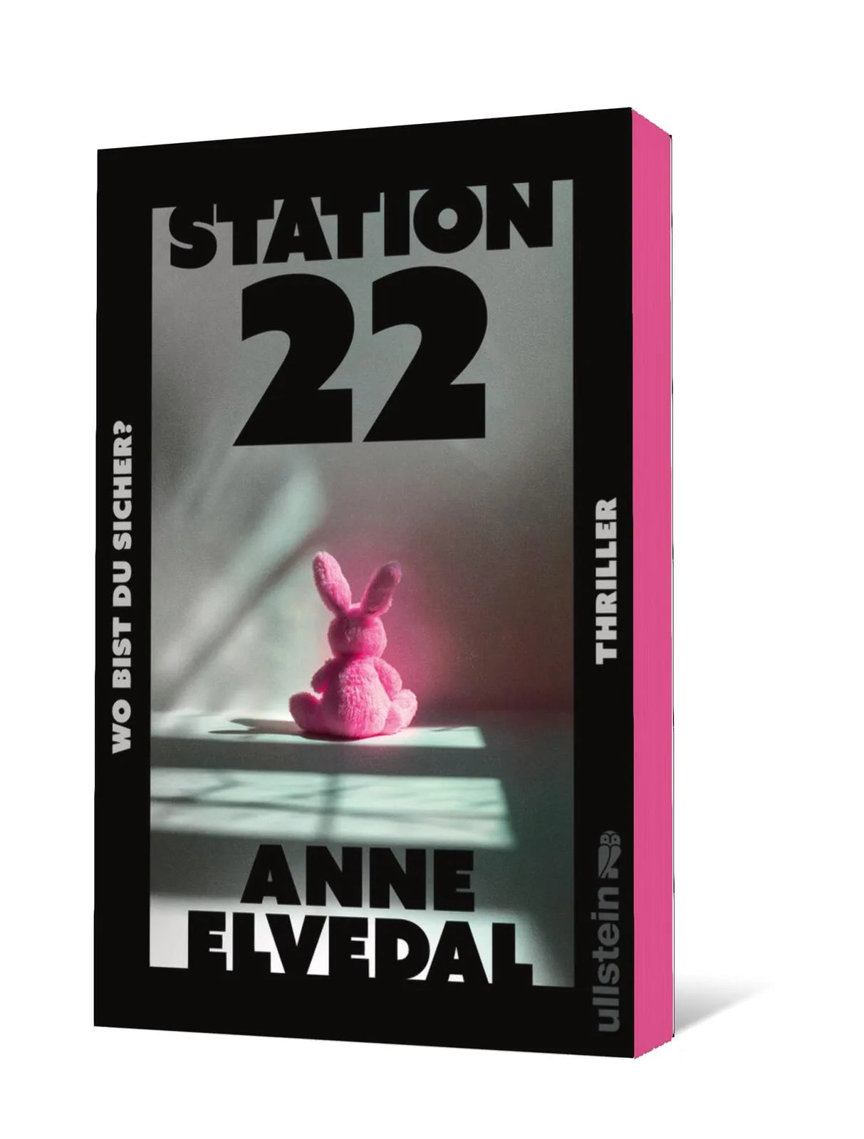 Produktansicht: Station 22. Wo bist du sicher? (Paperback)