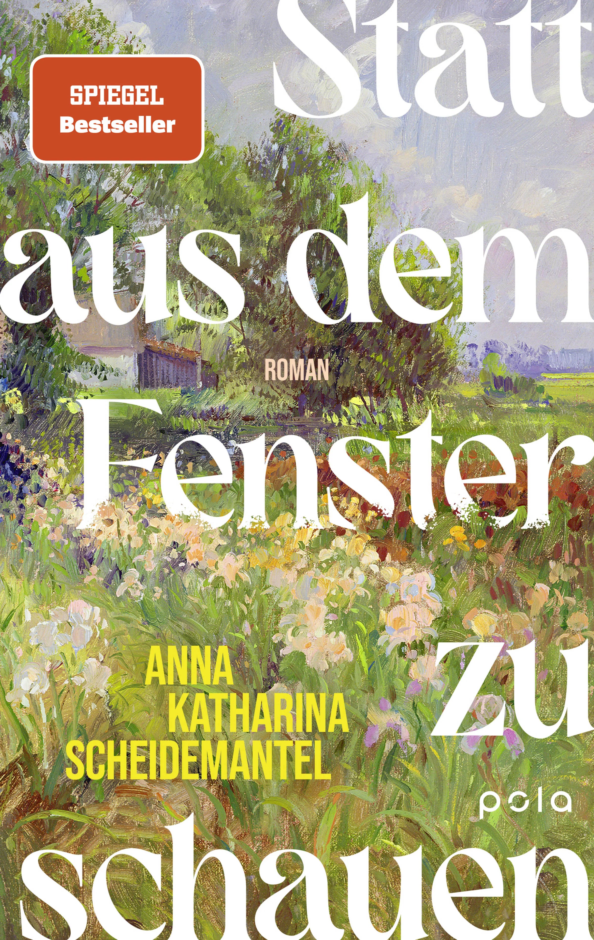 Cover: Statt aus dem Fenster zu schauen (Hardcover) von Anna Katharina Scheidemantel